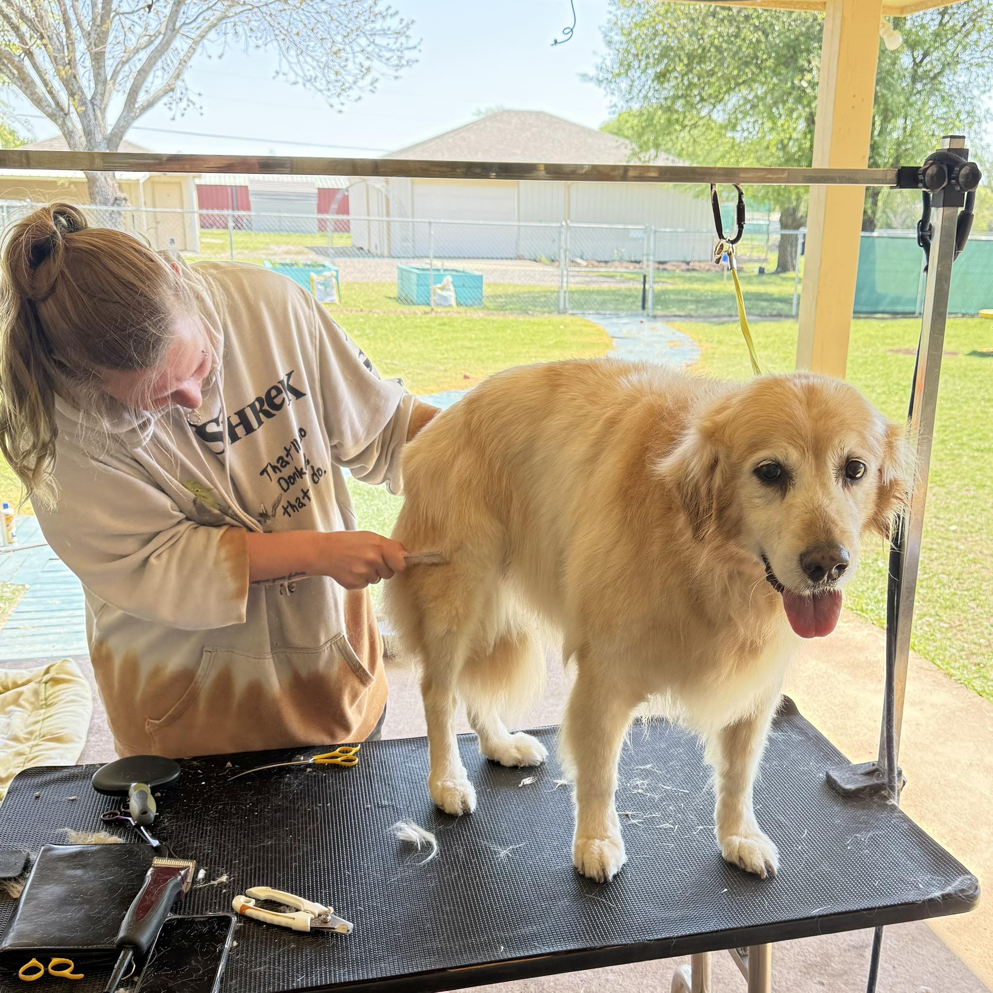 Texoma Pet Care Sherman