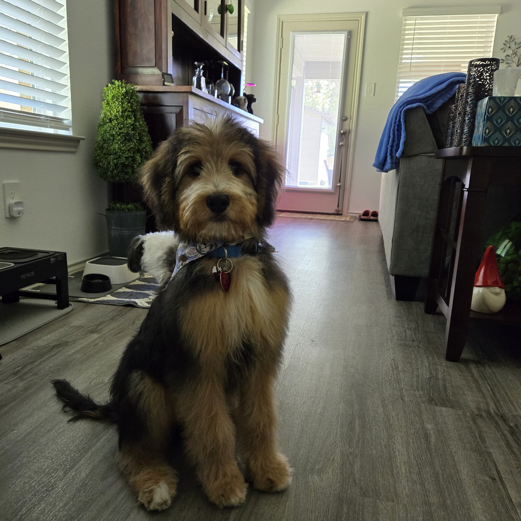 Bed Bath'n Bonz Silsbee