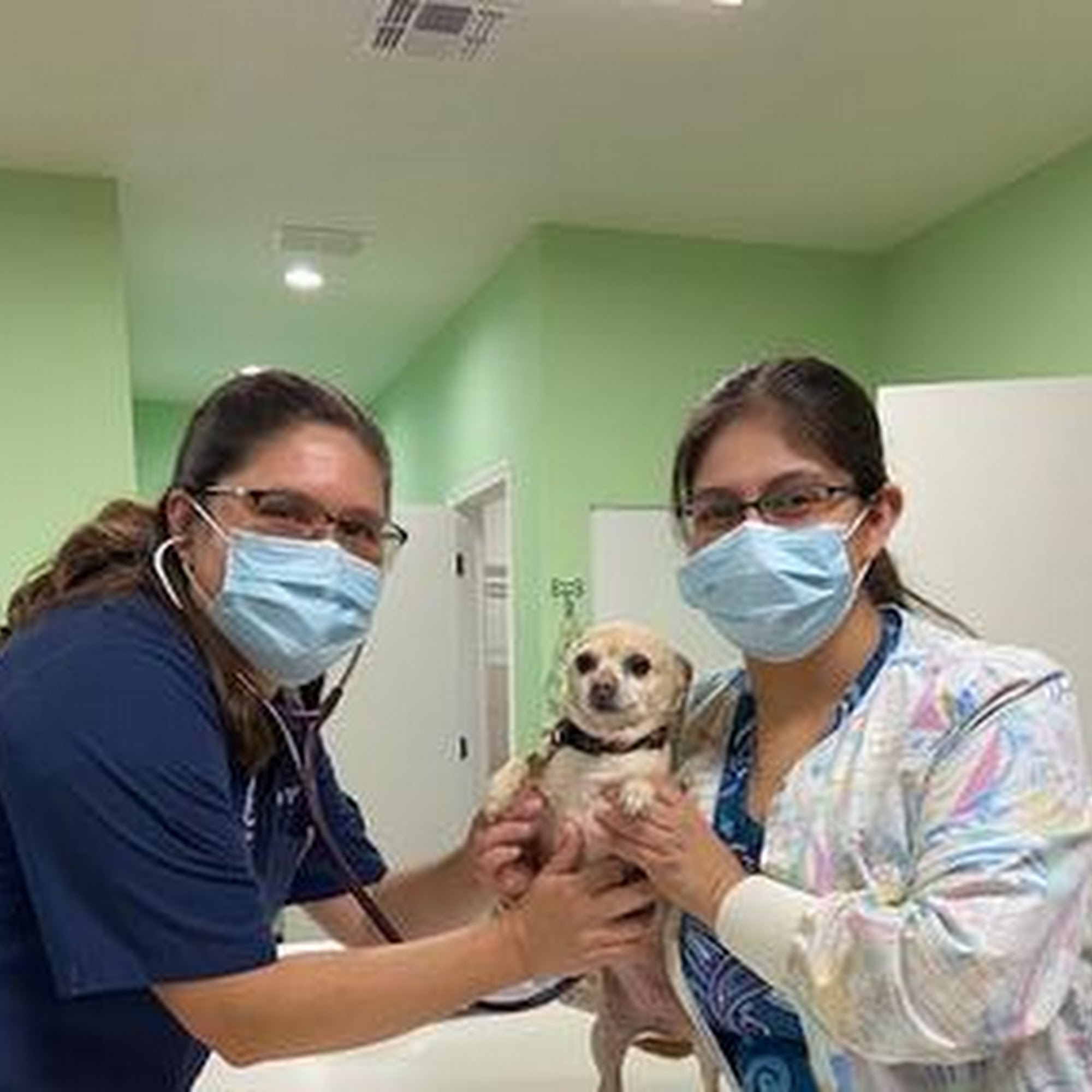 Somerset Animal Clinic Somerset