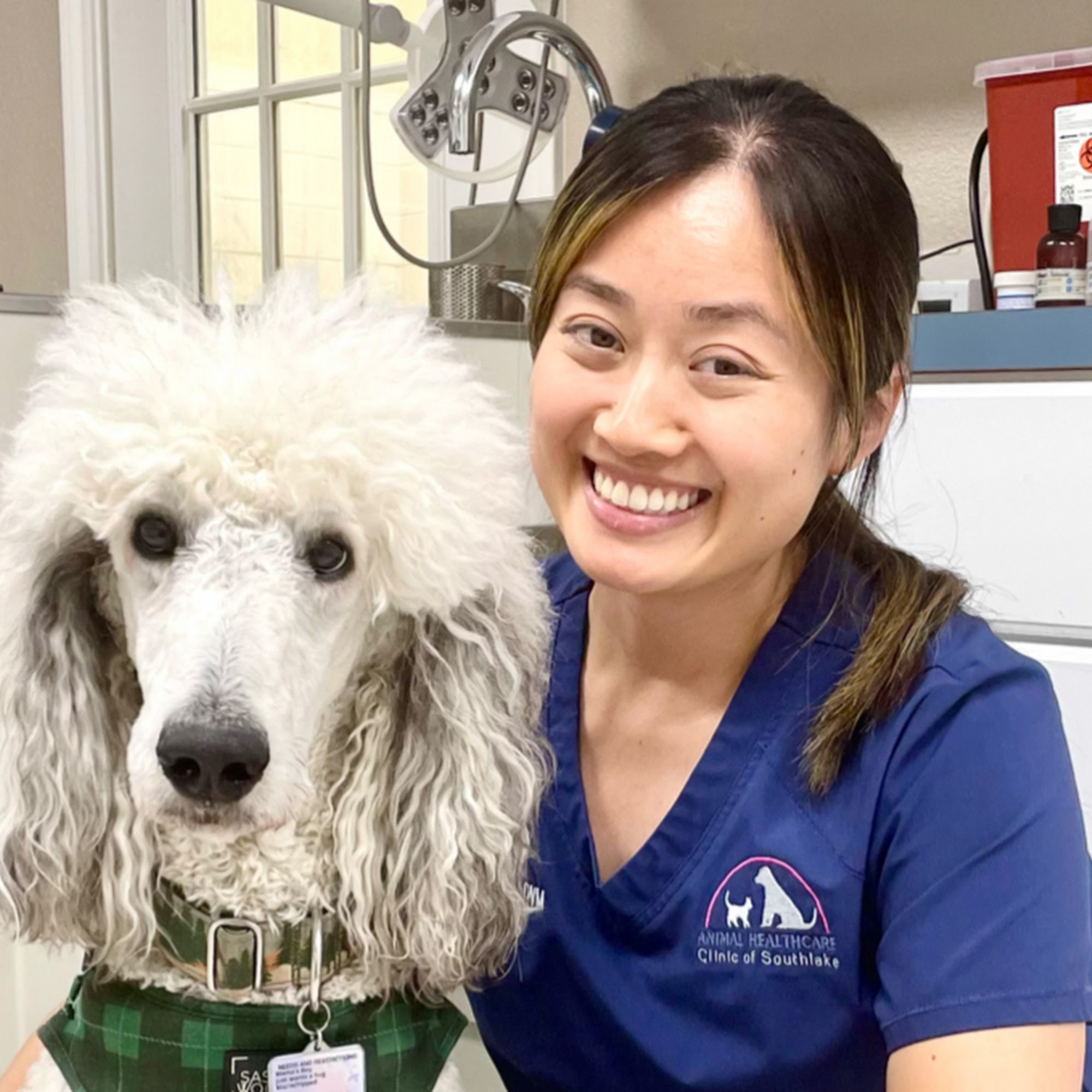Animal HealthCare Clinic of Southlake Southlake