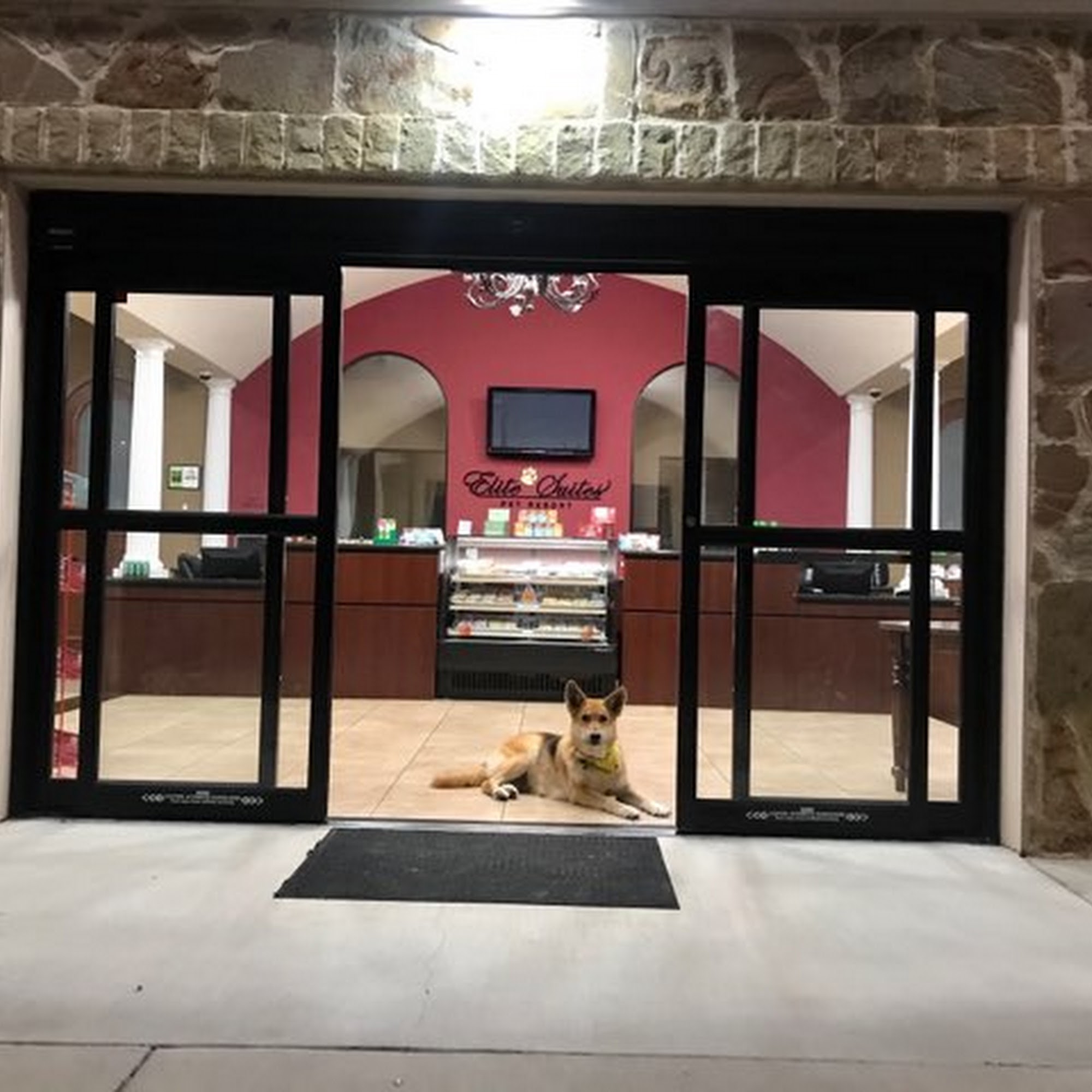 Elite Suites Pet Resort - Southlake Southlake