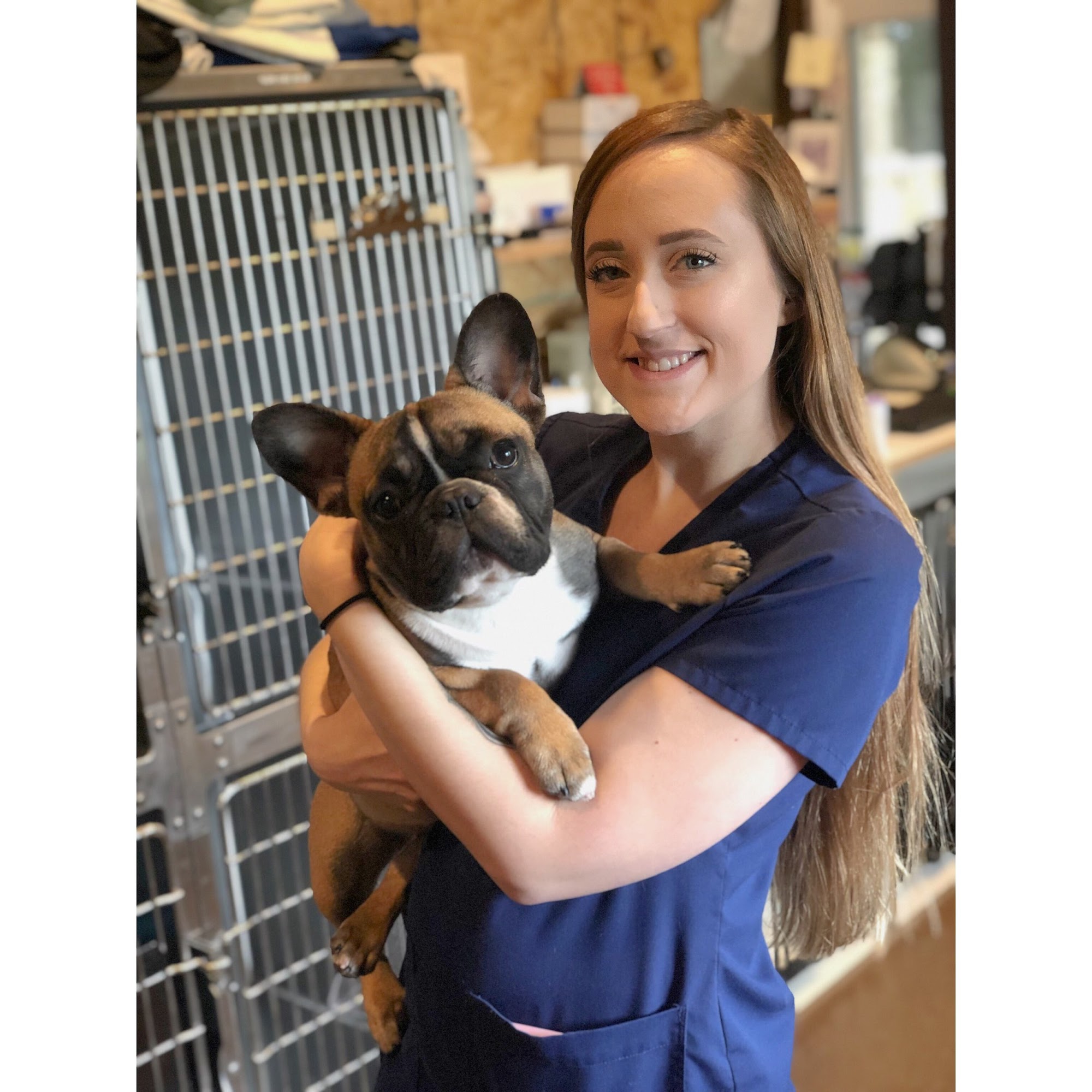 Spicewood Vet Clinic Spicewood