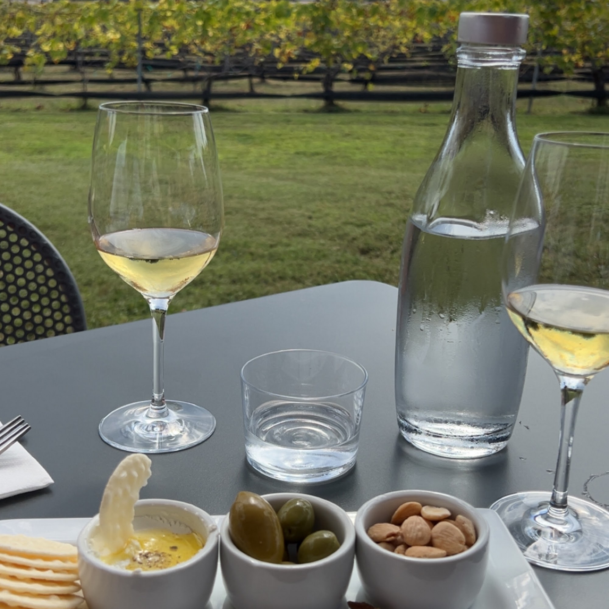 Stone House Vineyard Spicewood