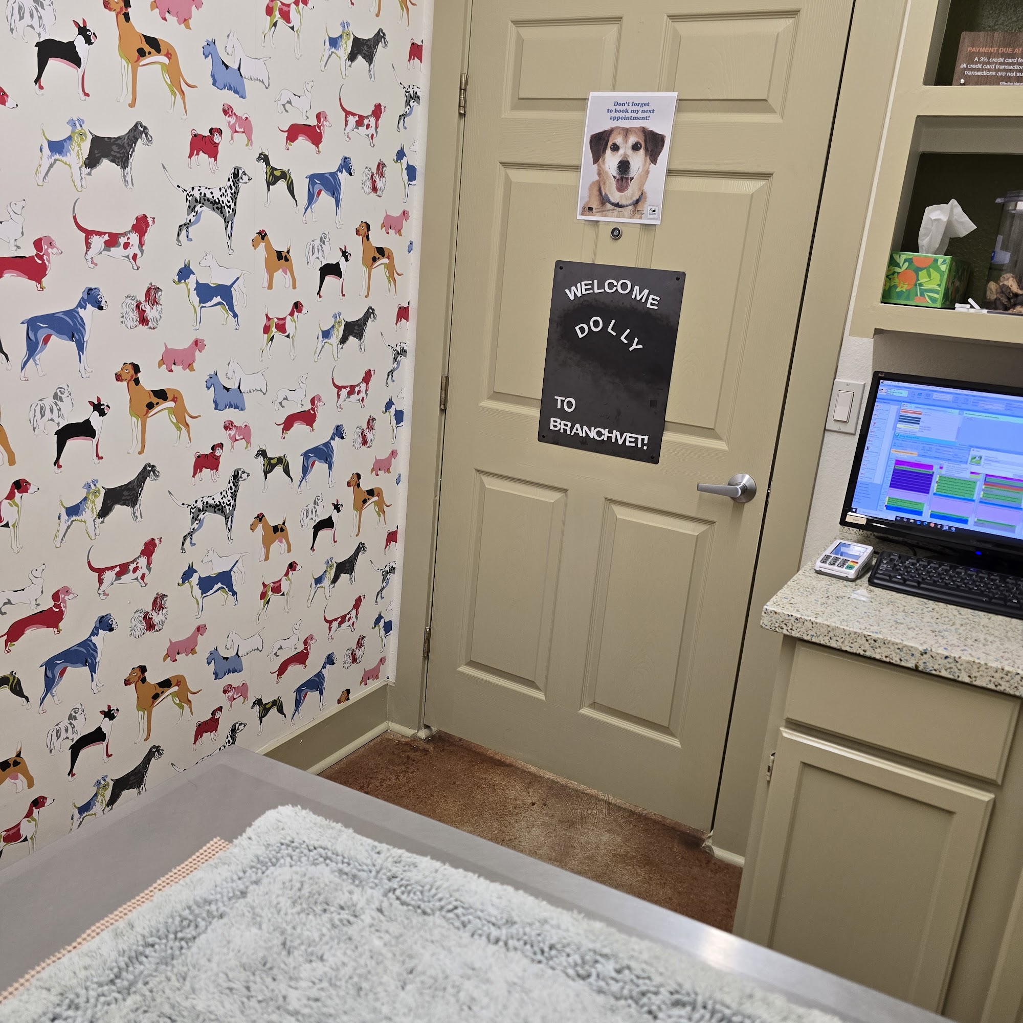 CanyonVet Spring Branch Spring Branch