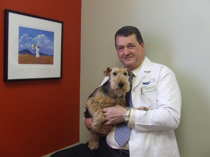 VCA Spring Animal Hospital Spring