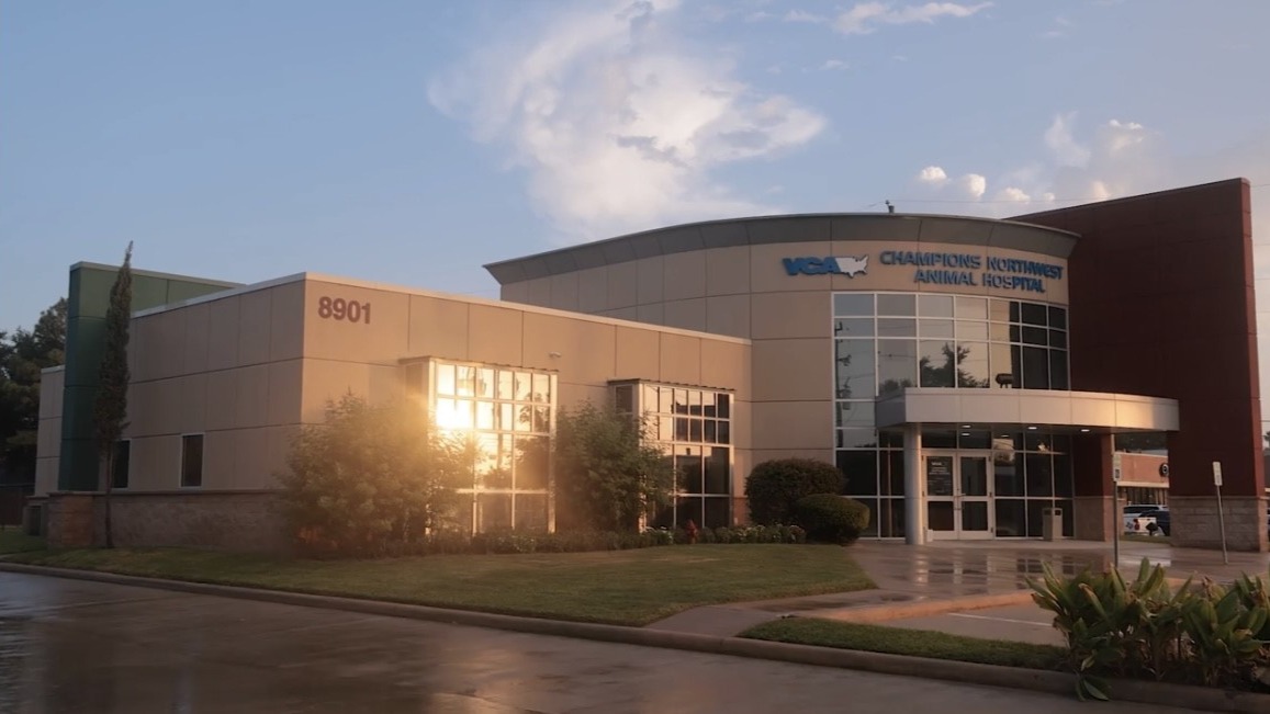 VCA Champions Northwest Animal Hospital Spring