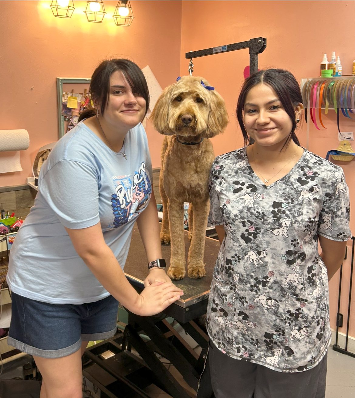 The Shaggy Dog Parlor Spring