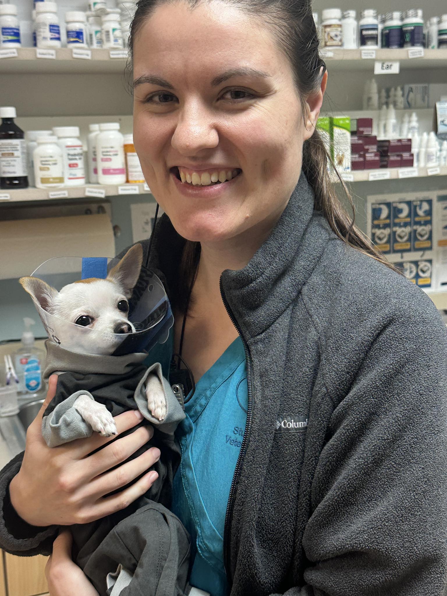 Stuebner Airline Veterinary Hospital Spring