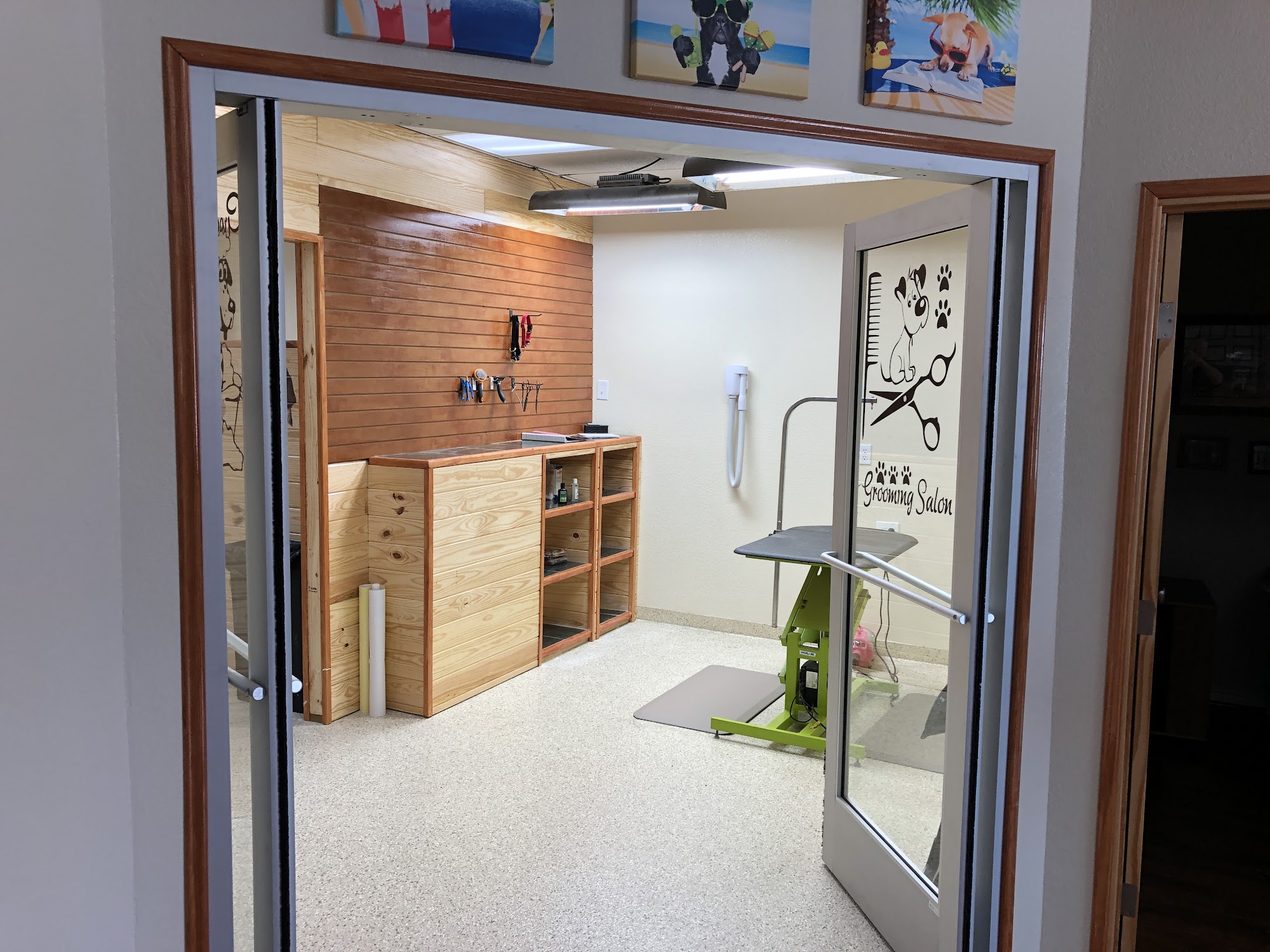 Pawtown Pet Boarding Spring