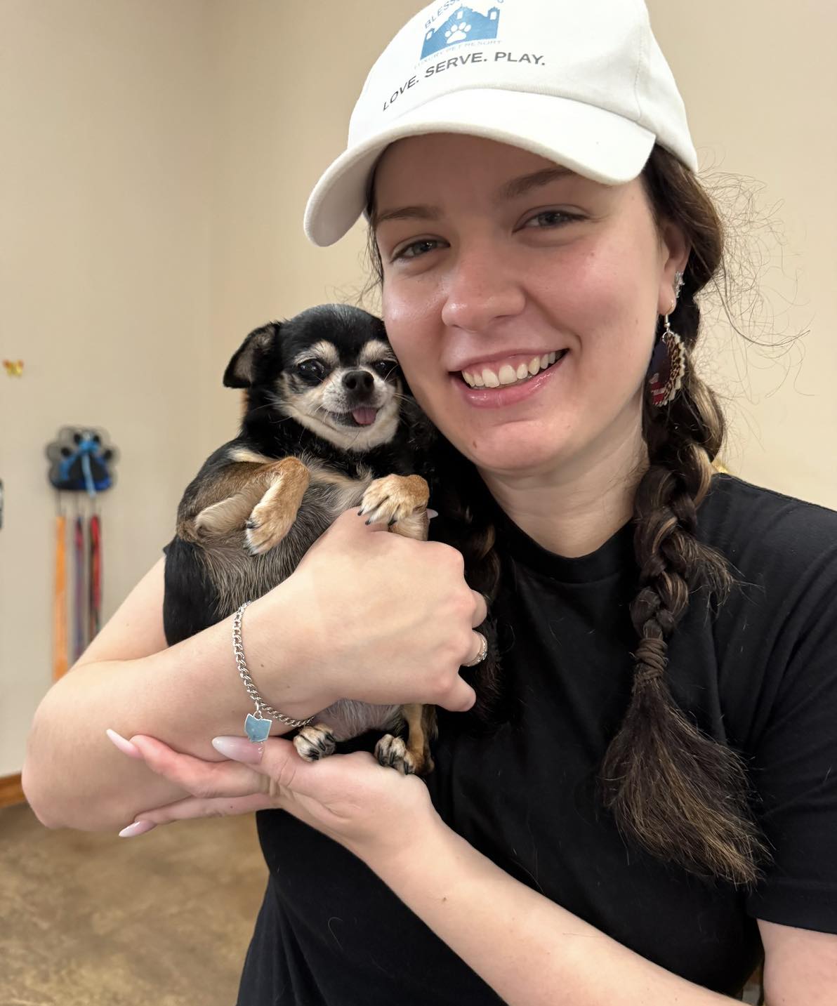 Blessed Paws Luxury Pet Resort Spring