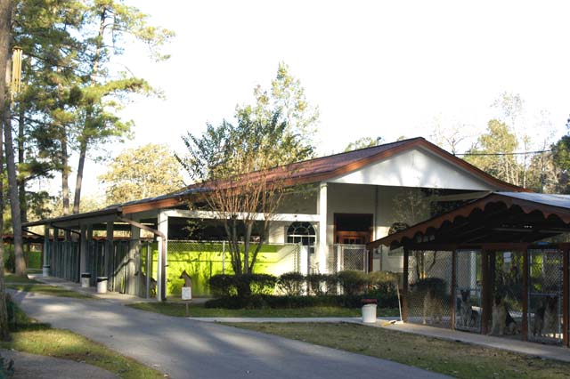 Heidelberg German Shepherd Kennel Spring