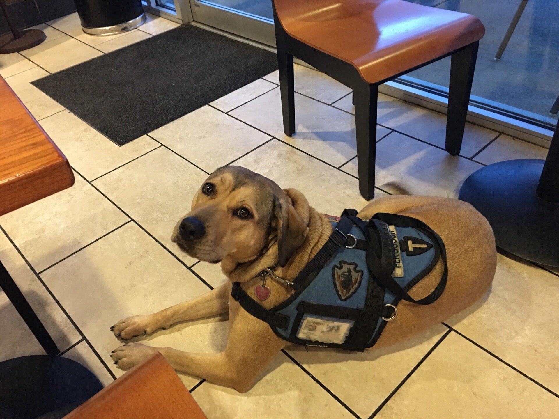 Photo credit: nextdoor