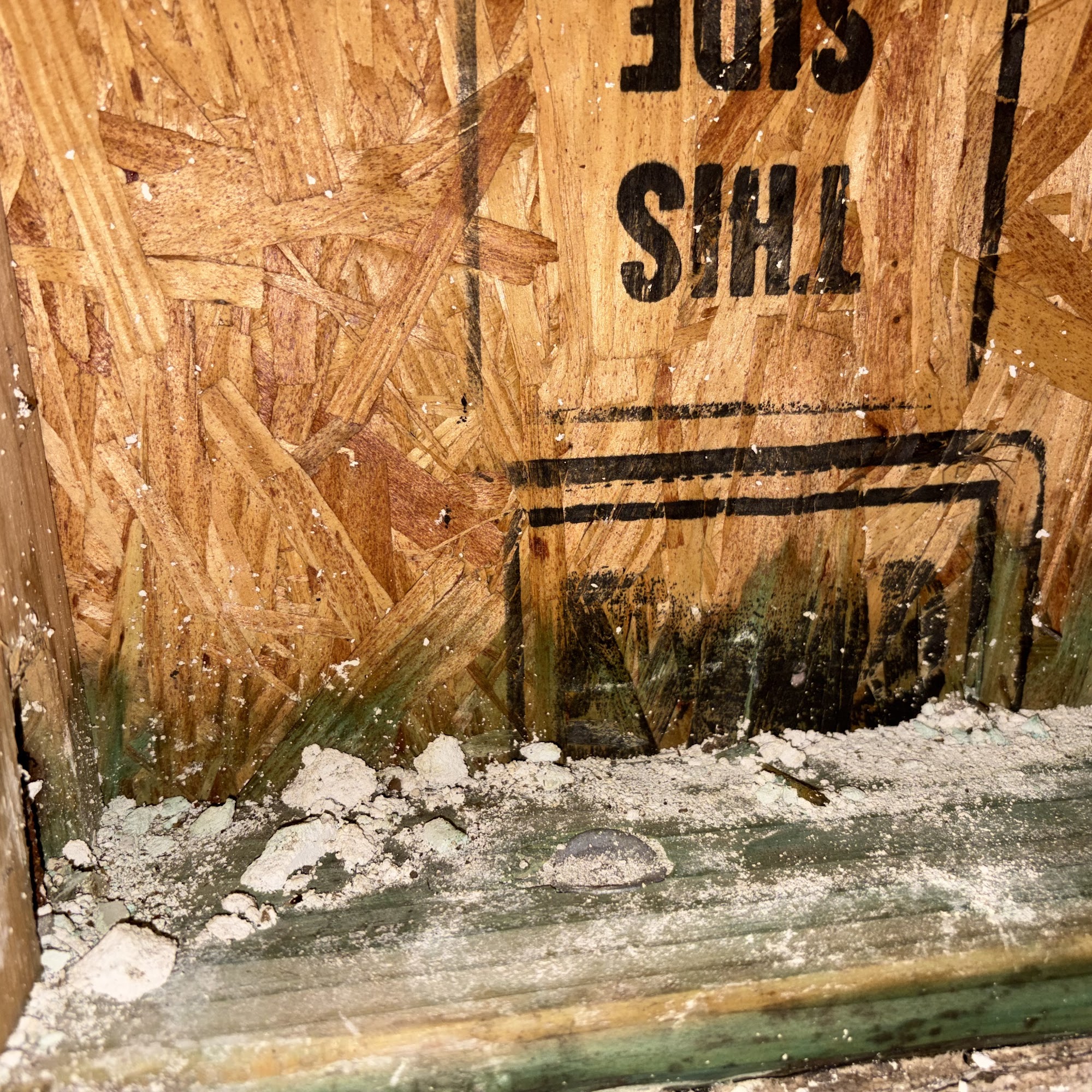 FDI Management Group Inc Spring