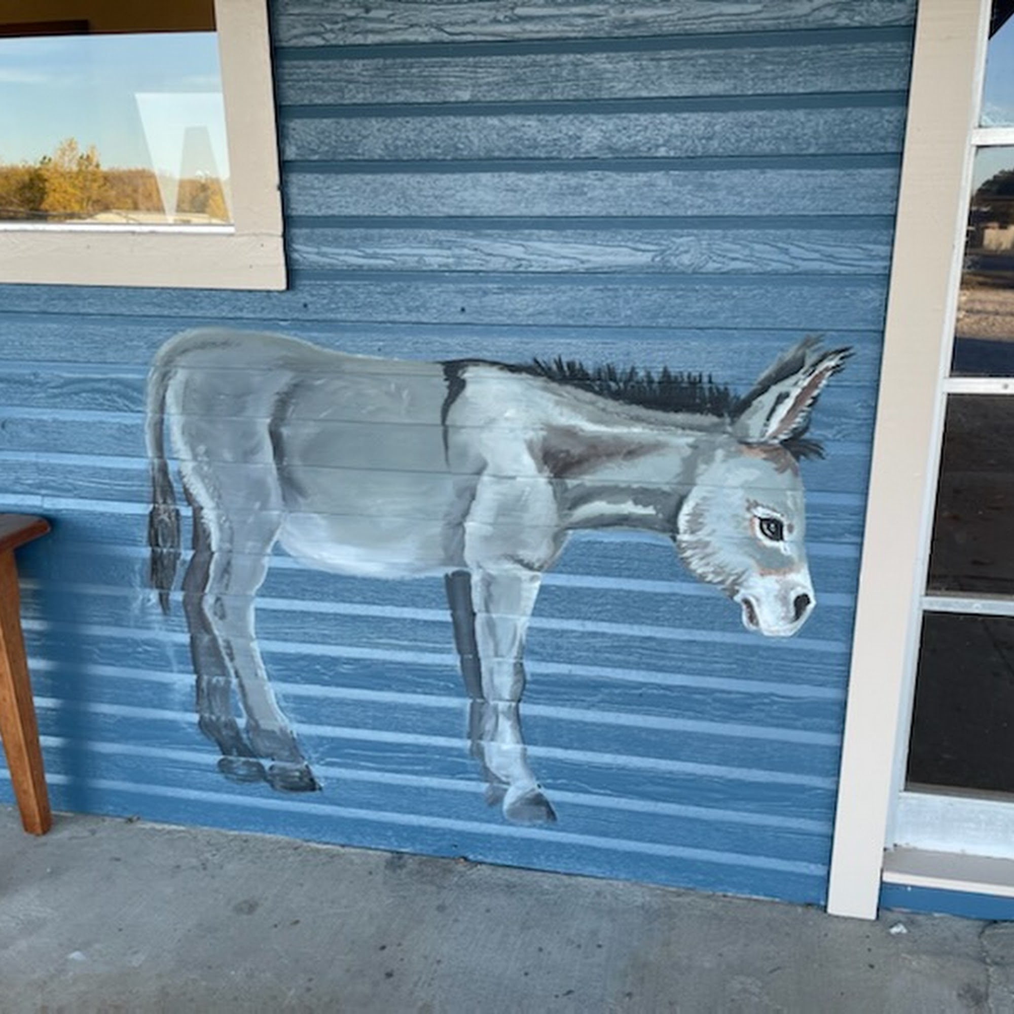 Thompson Veterinary Services Springtown