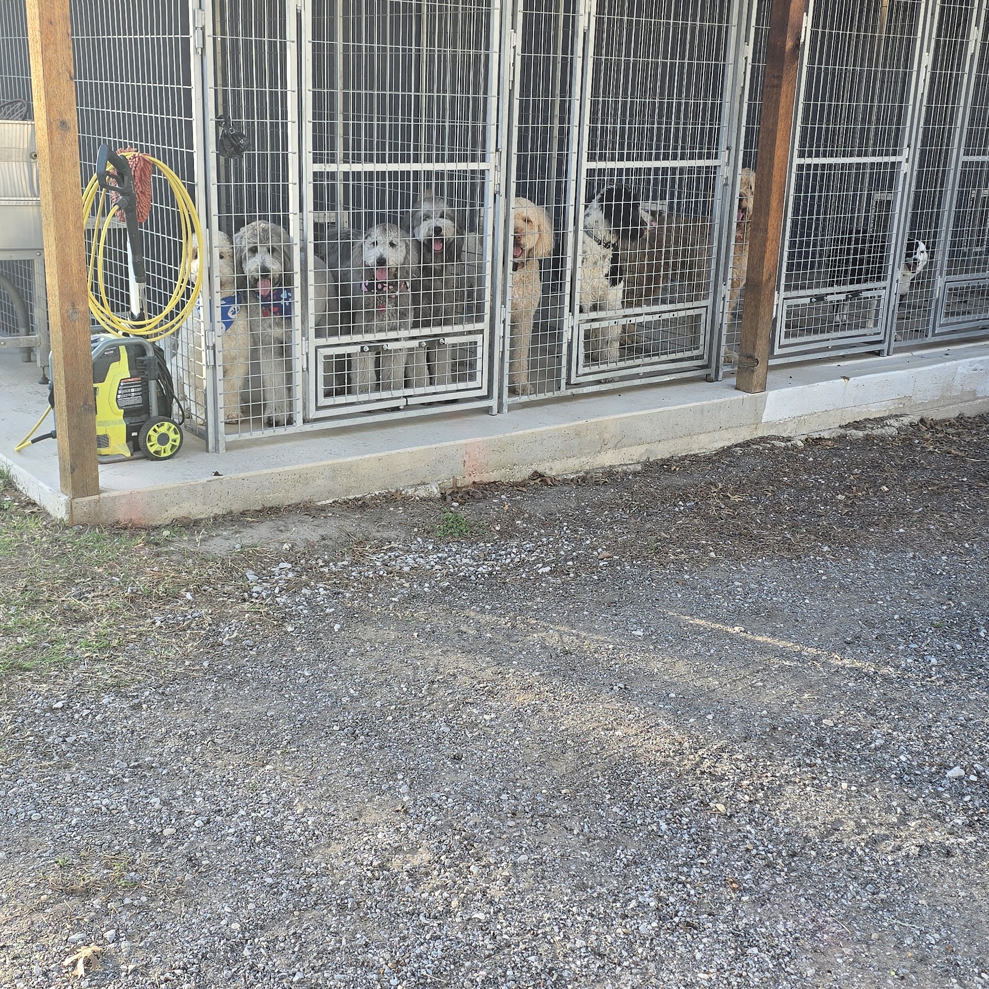 Country Pup's Grooming Salon Springtown