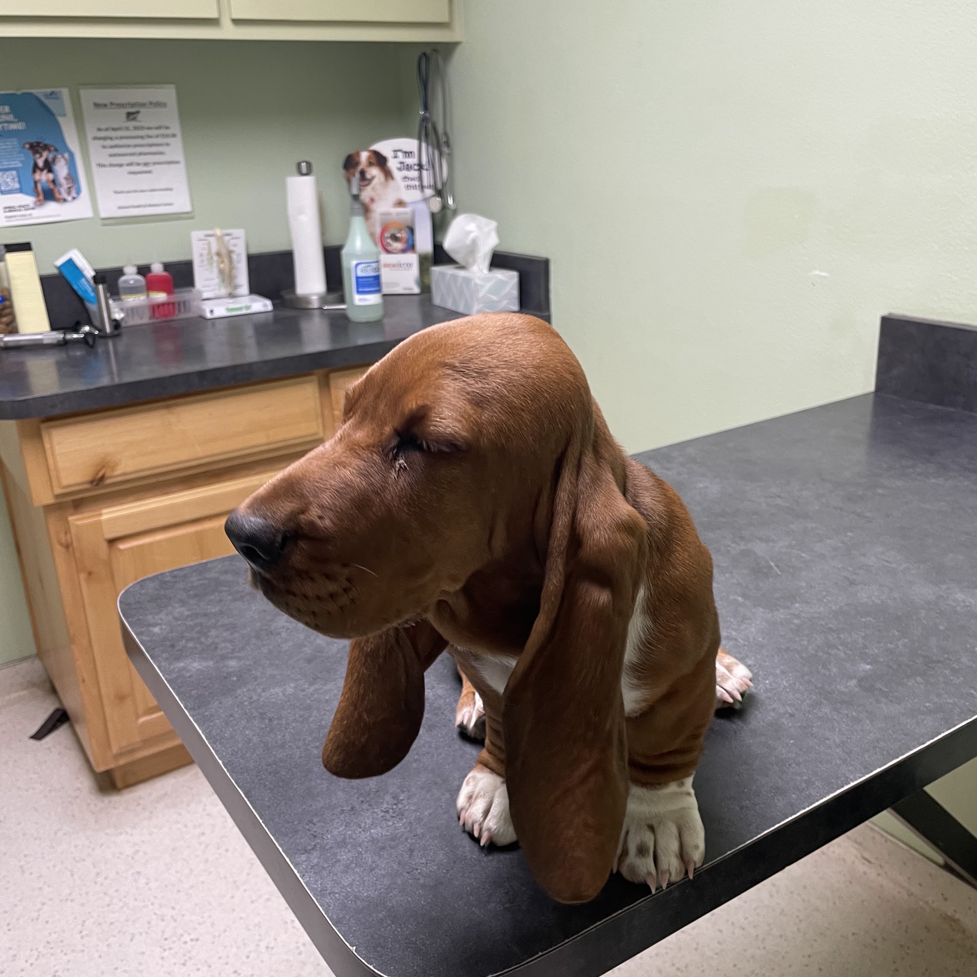 Animal Health & Medical Center Stephenville