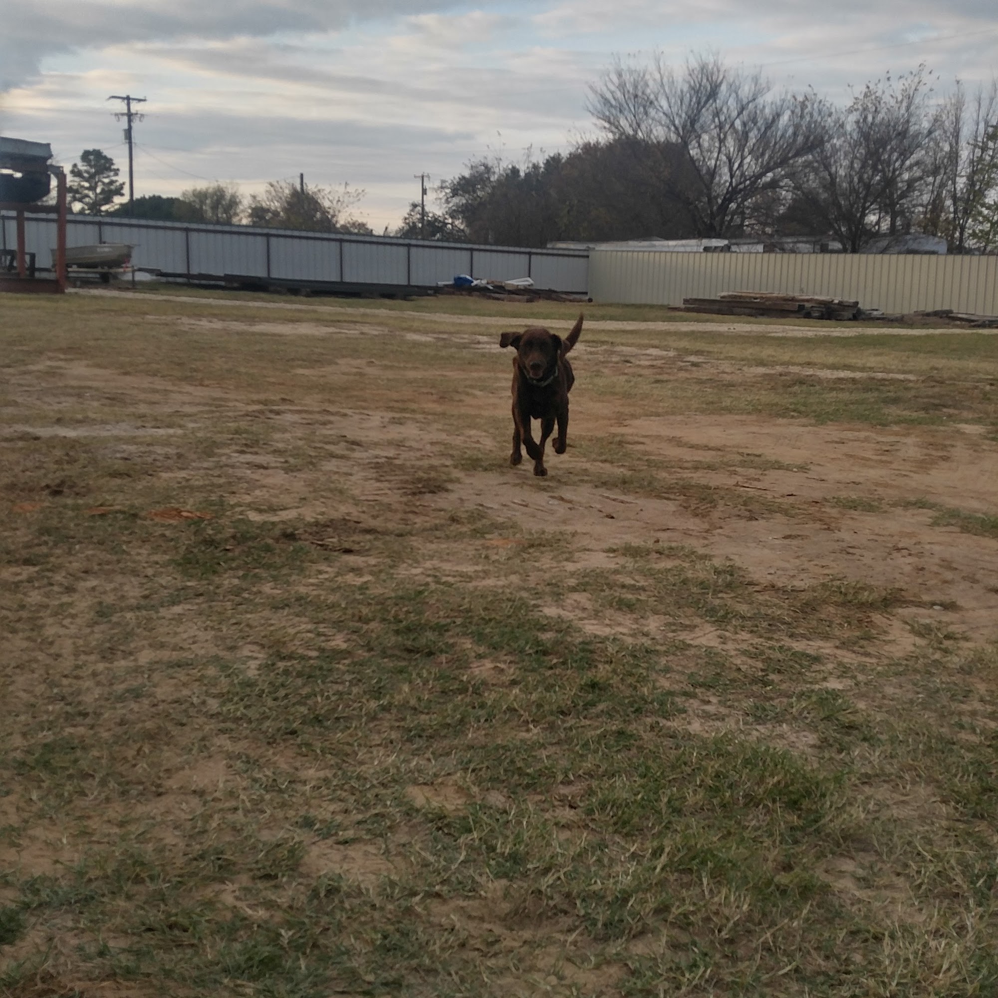 The Hay & Feed Ranch Stephenville
