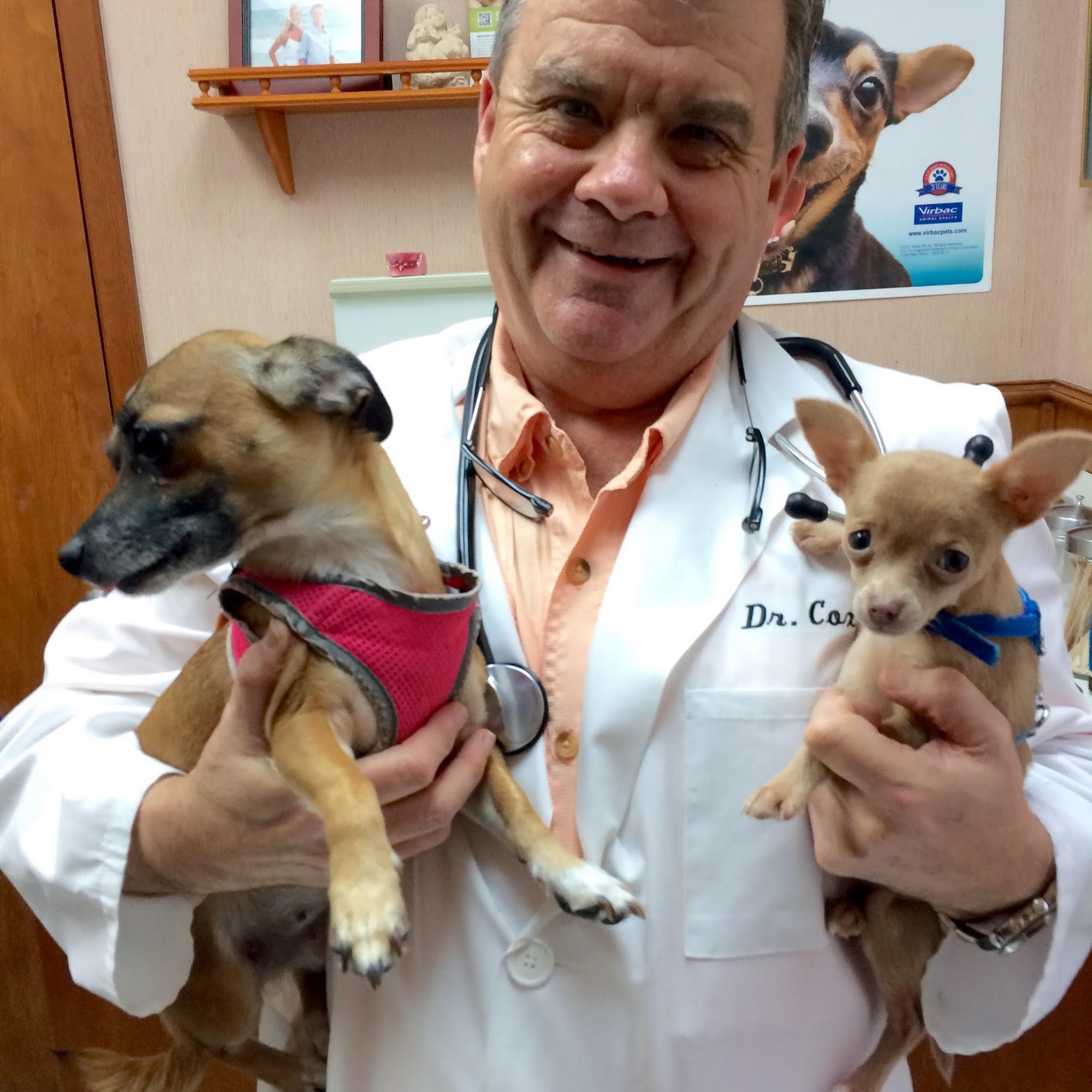 Sugar Creek Animal Clinic Sugar Land
