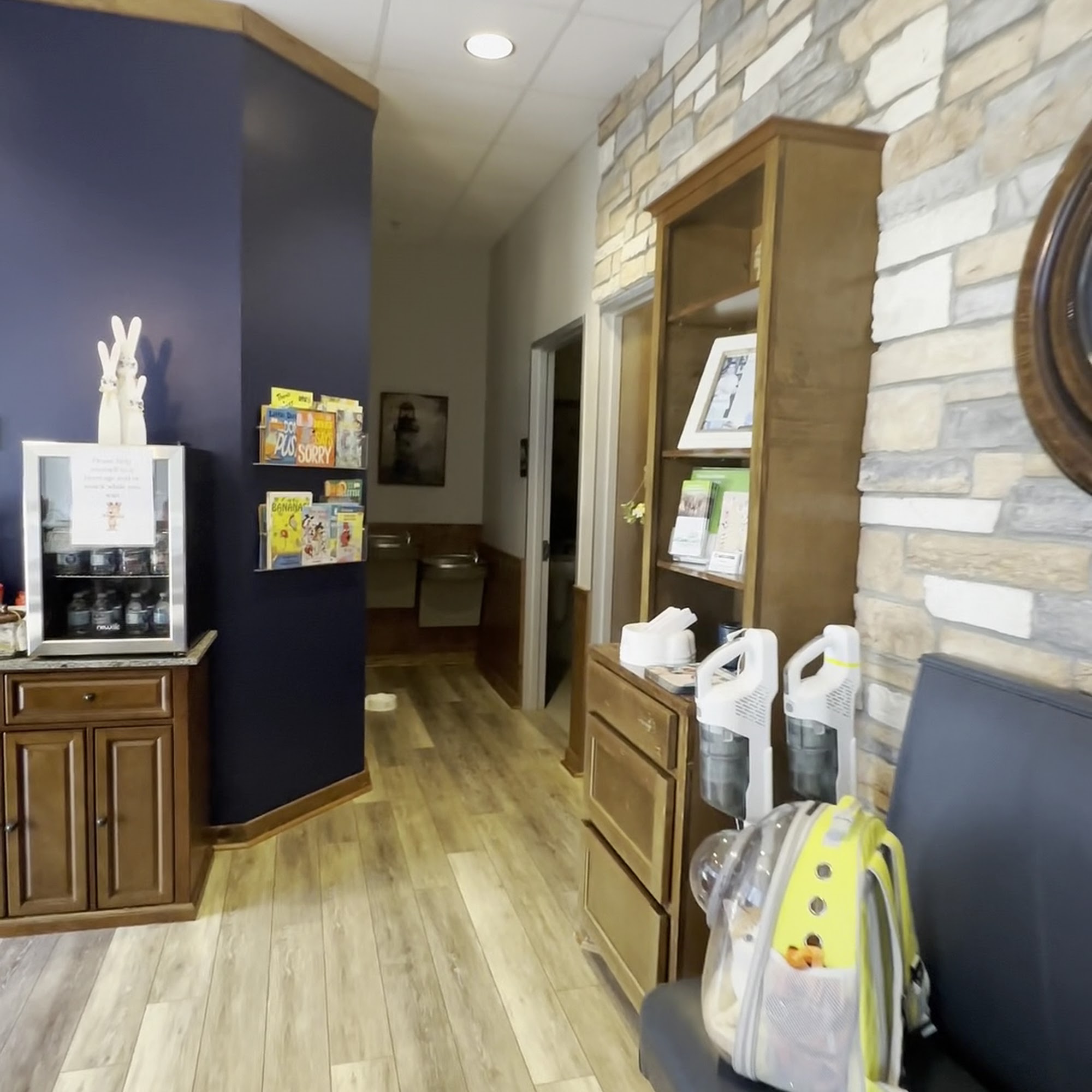 Lighthouse Veterinary Clinic Sugar Land
