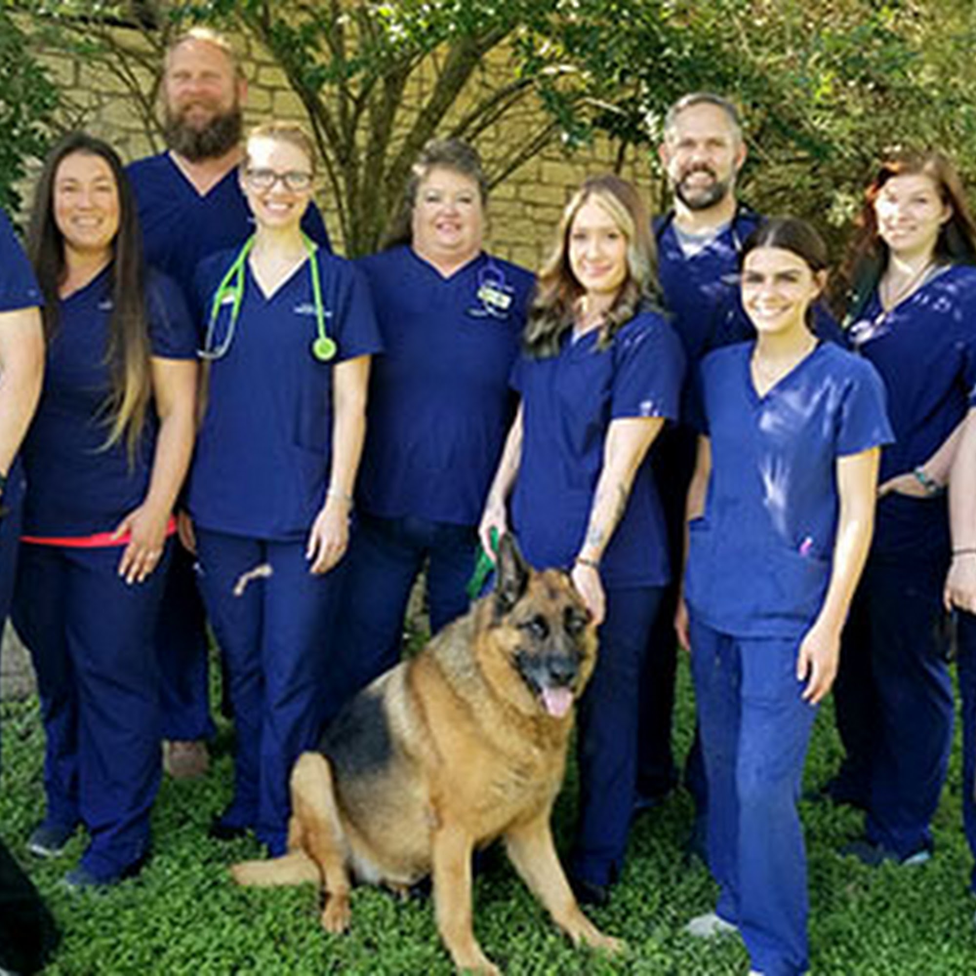 Loop 363 Animal Hospital Temple