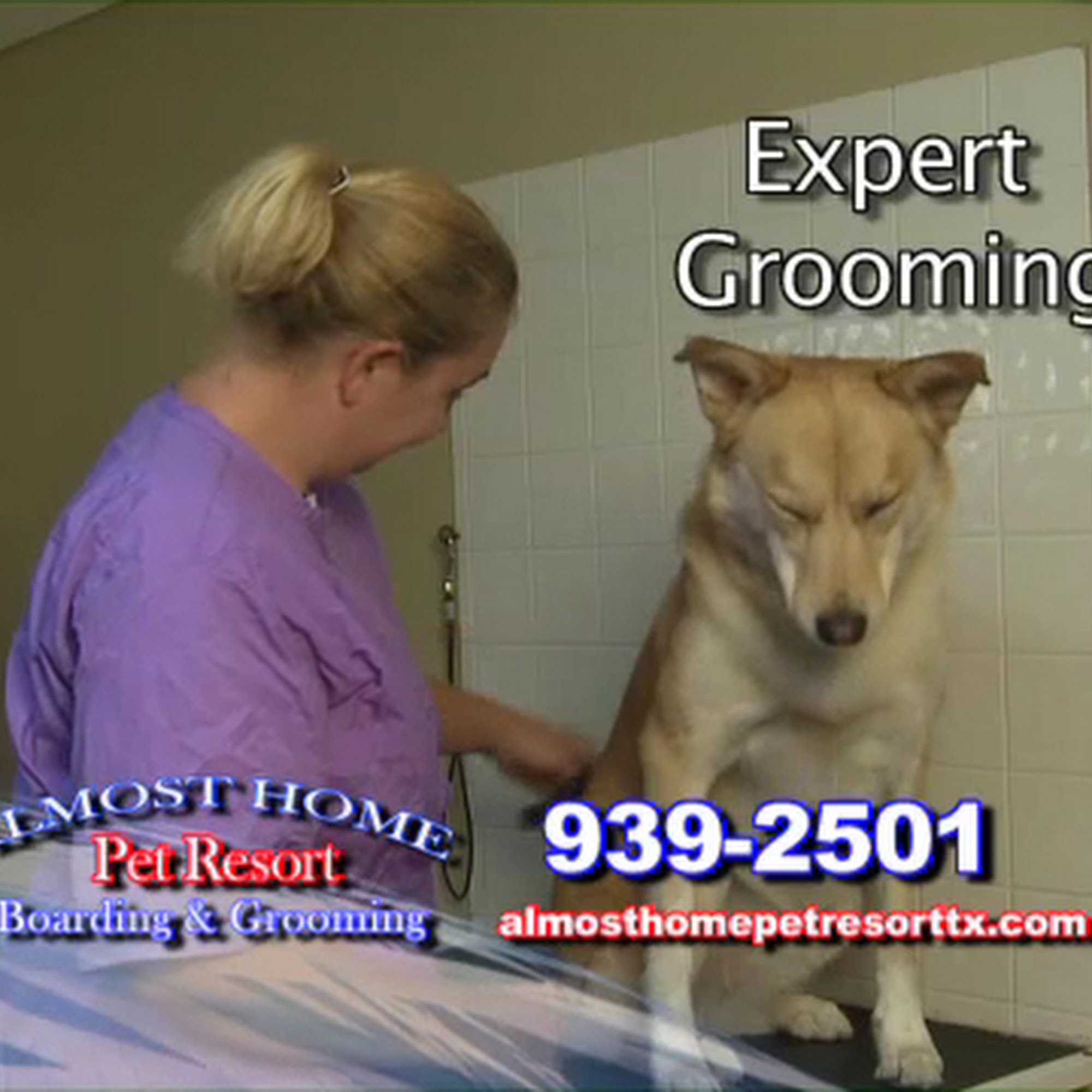 Almost Home Pet Resort Temple