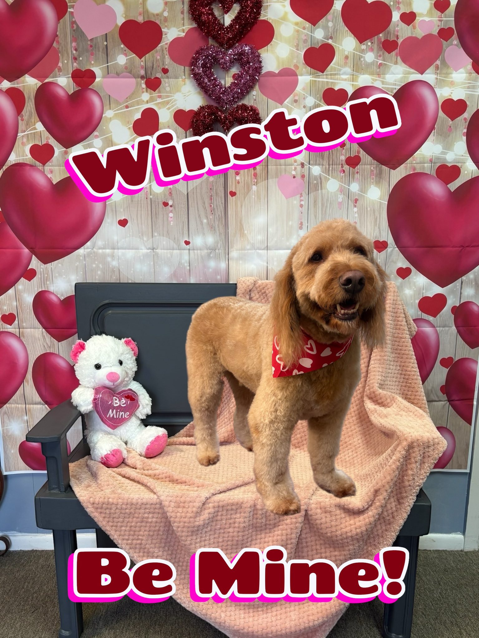 4 Legs of Love Grooming Temple