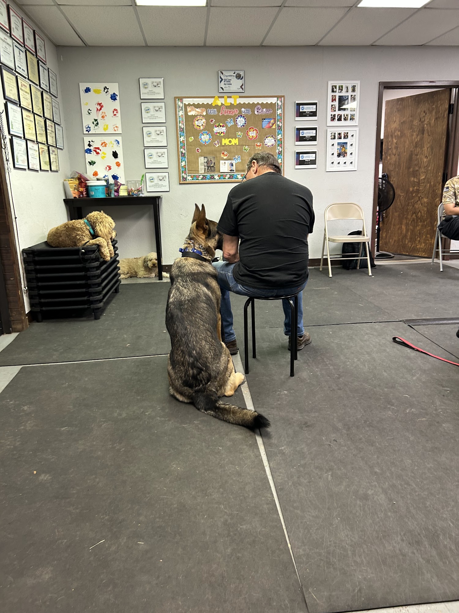 Alpha Leader K9 Training Temple