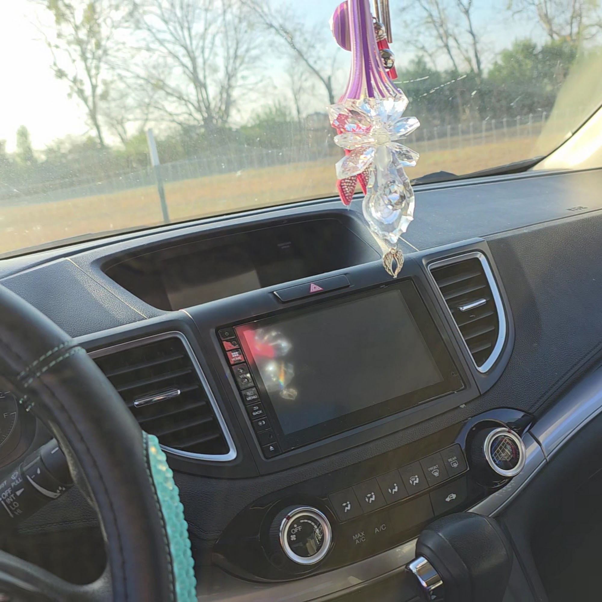 Dirty Dogs Spaw @Pearl's Place Temple