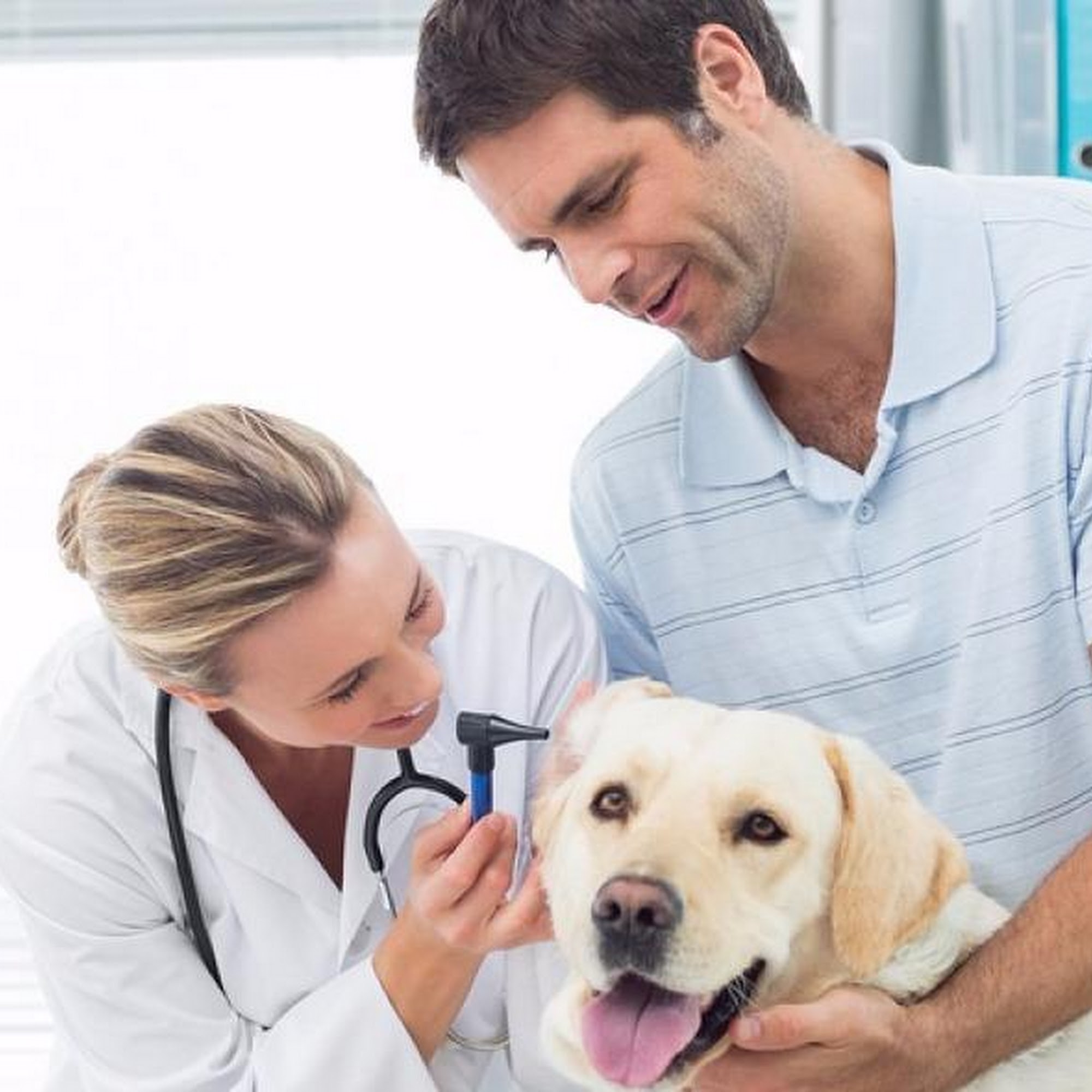 Ark La Tex Animal Clinic Texarkana