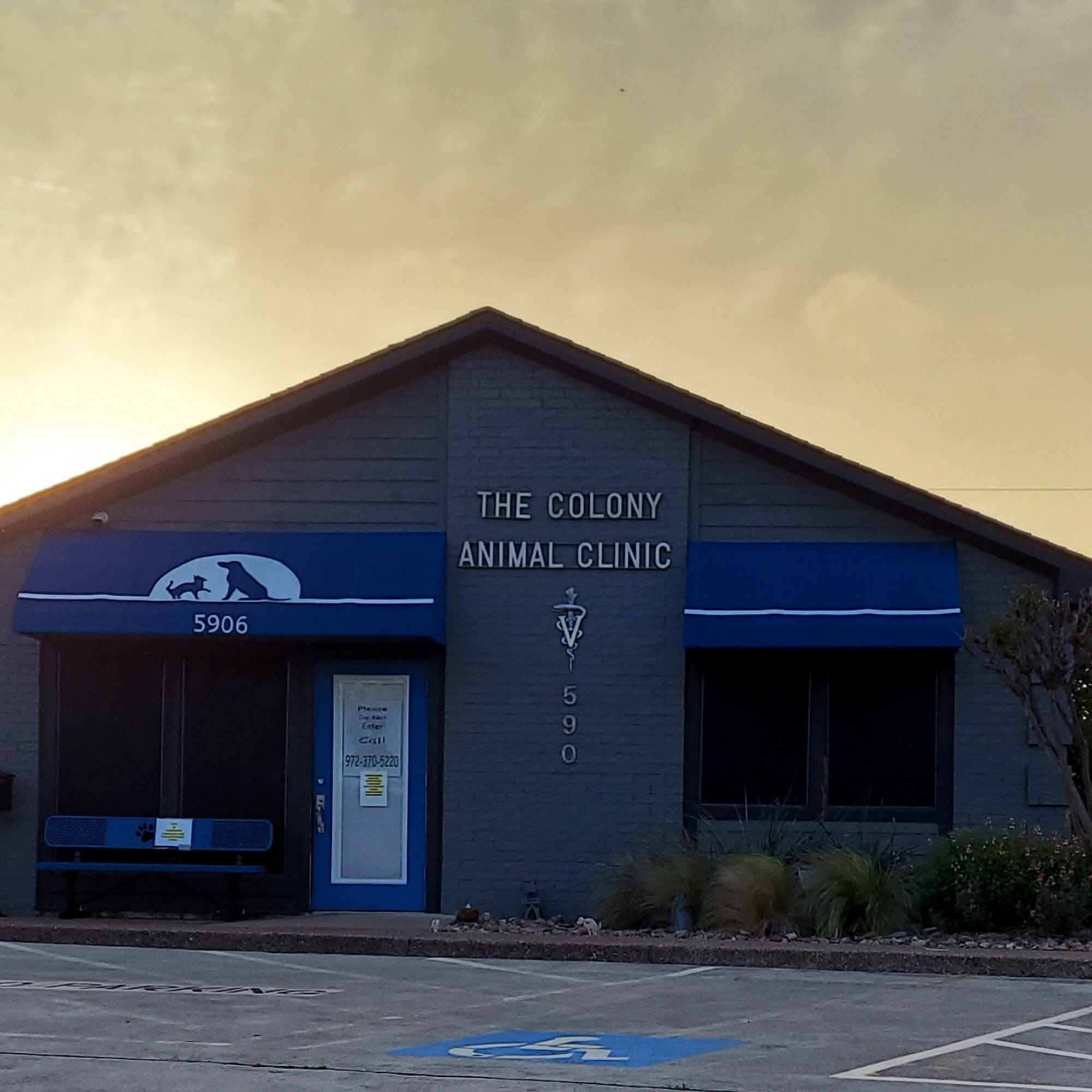 The Colony Animal Clinic The Colony