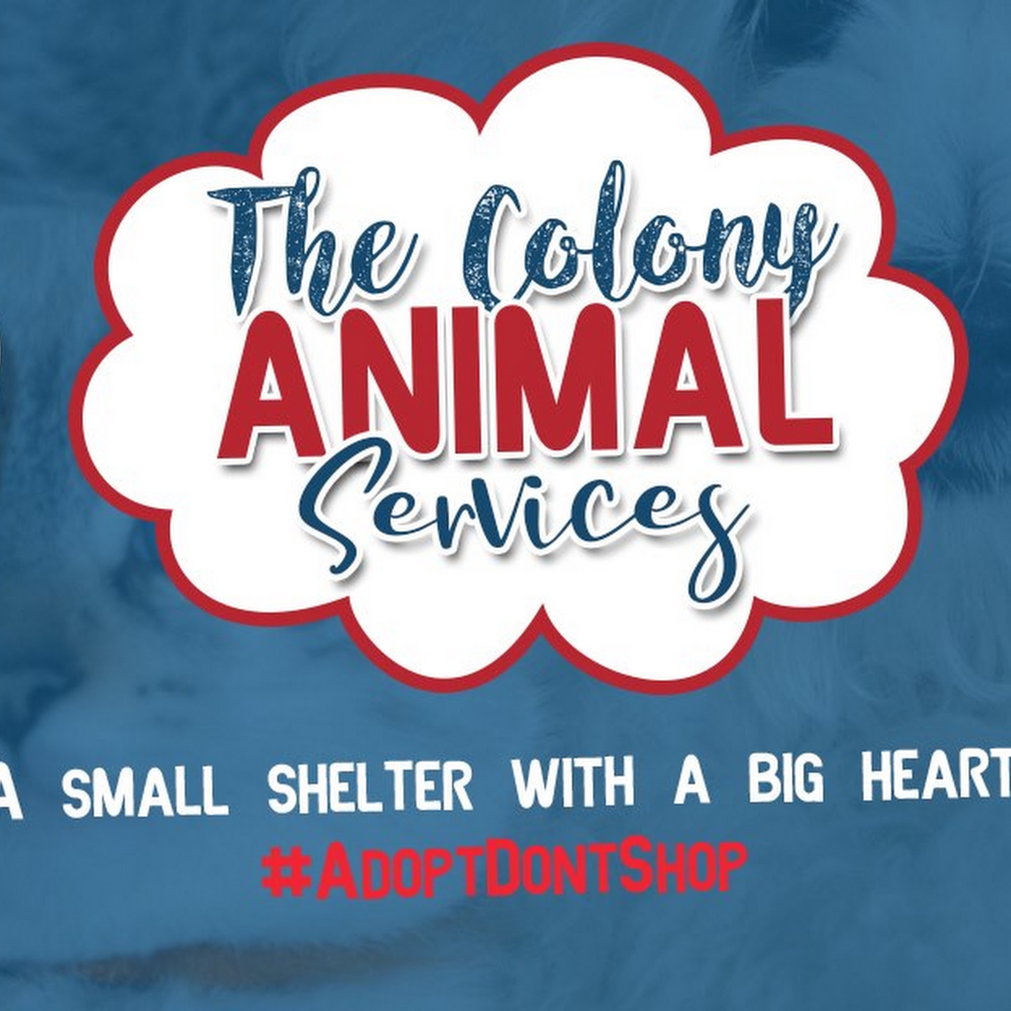 The Colony Animal Services The Colony