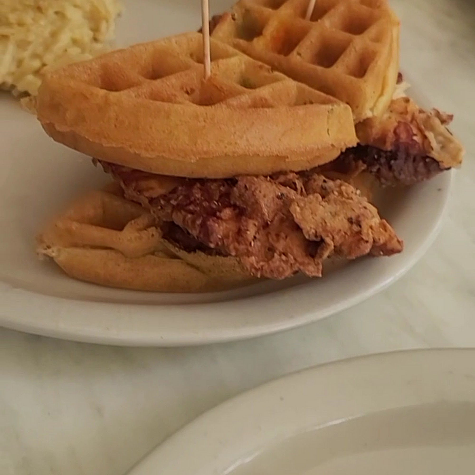 The Toasted Yolk Cafe The Woodlands