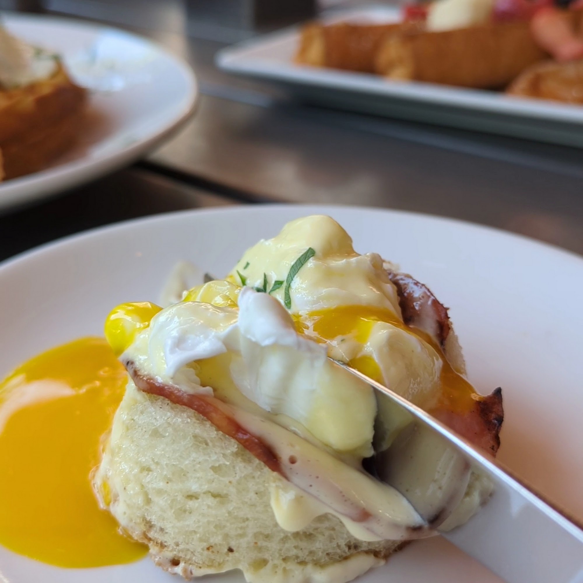 Terra Vino Italian Kitchen & Wine Bar The Woodlands