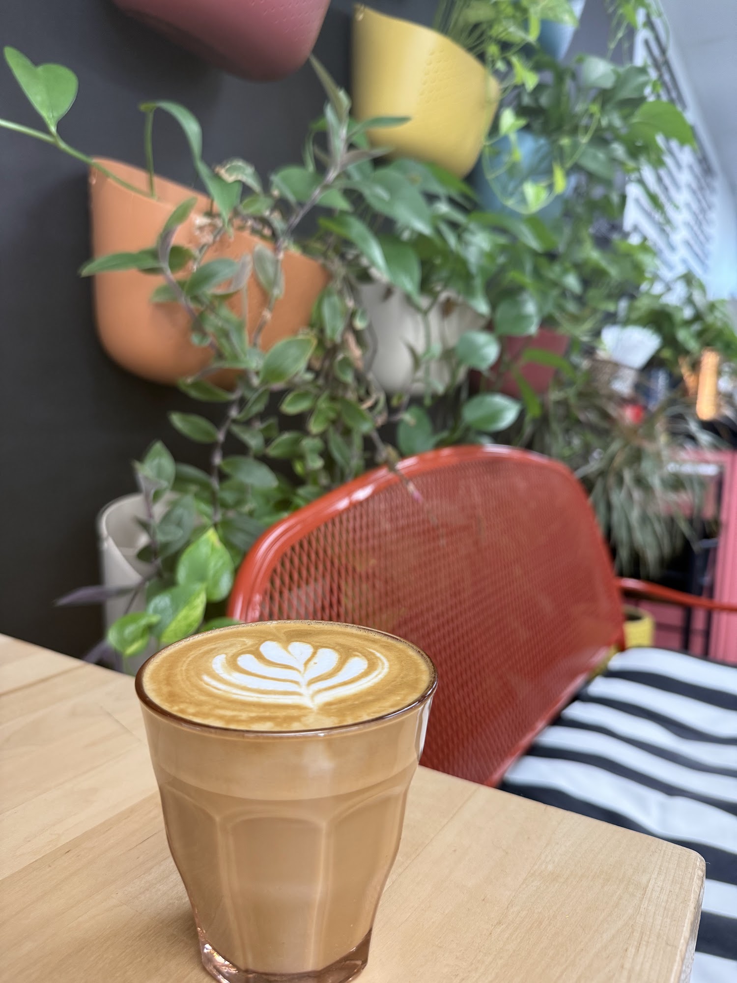 Conduit Coffee The Woodlands