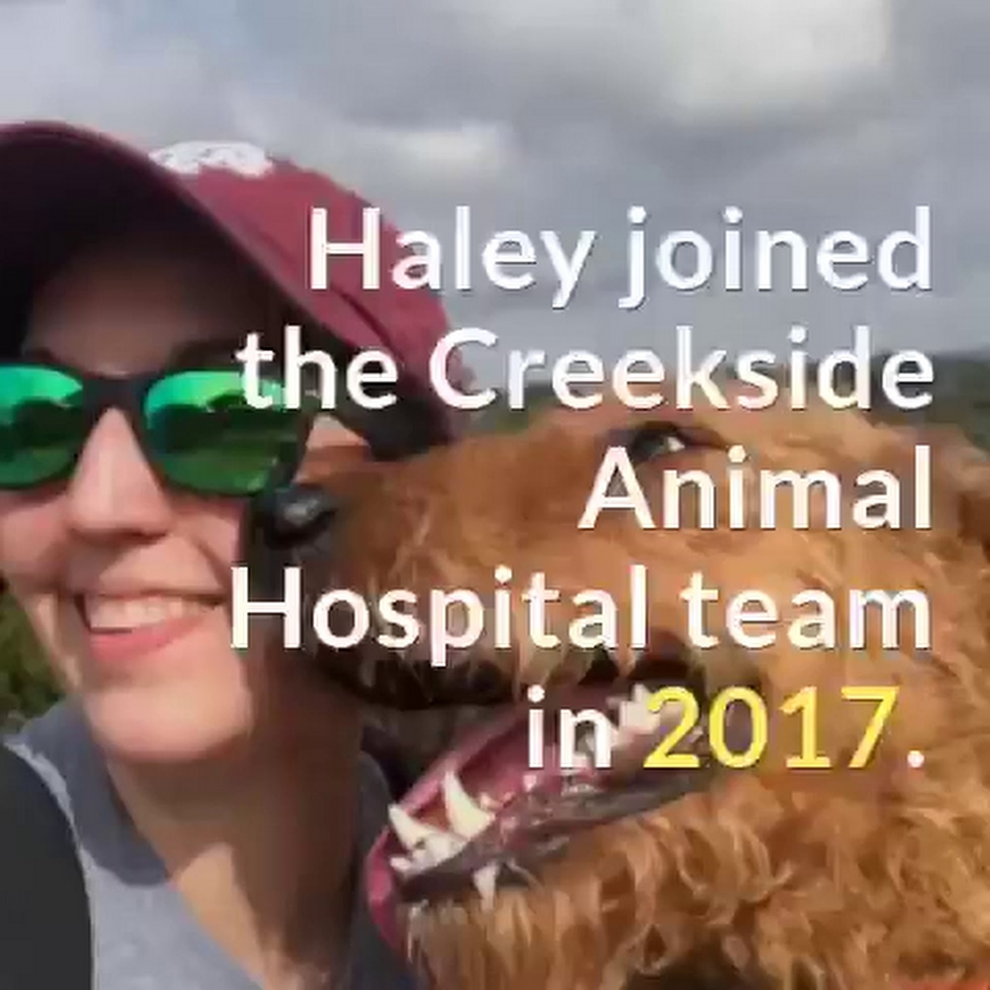 Creekside Animal Hospital Tomball