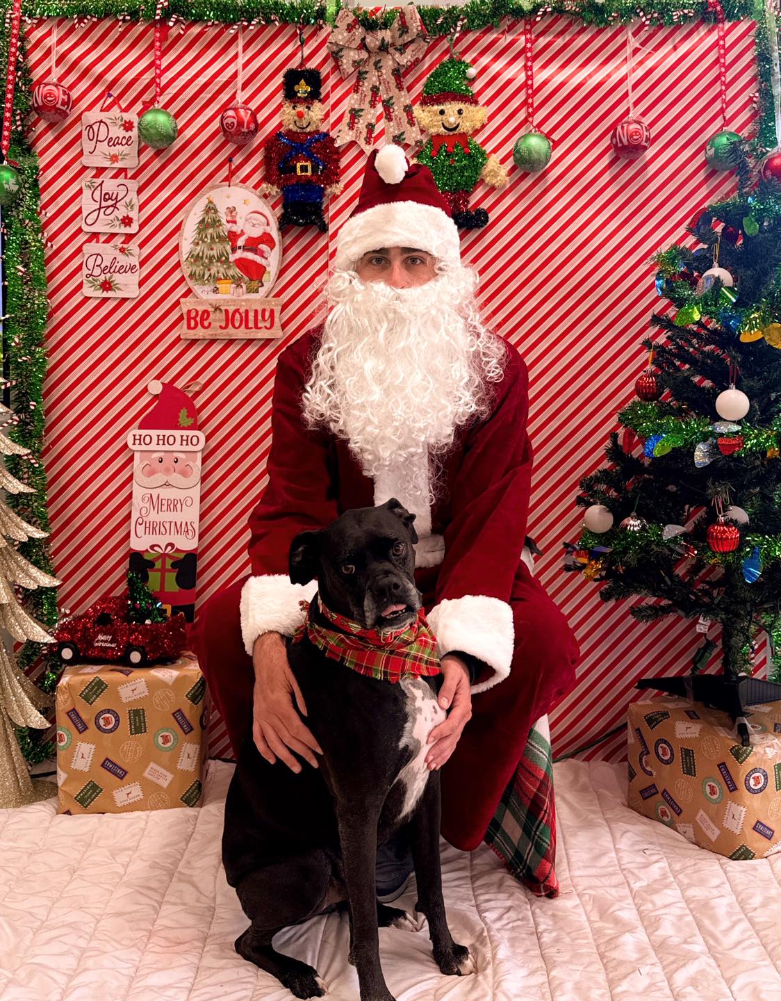 Barkway Pet Resort Tomball