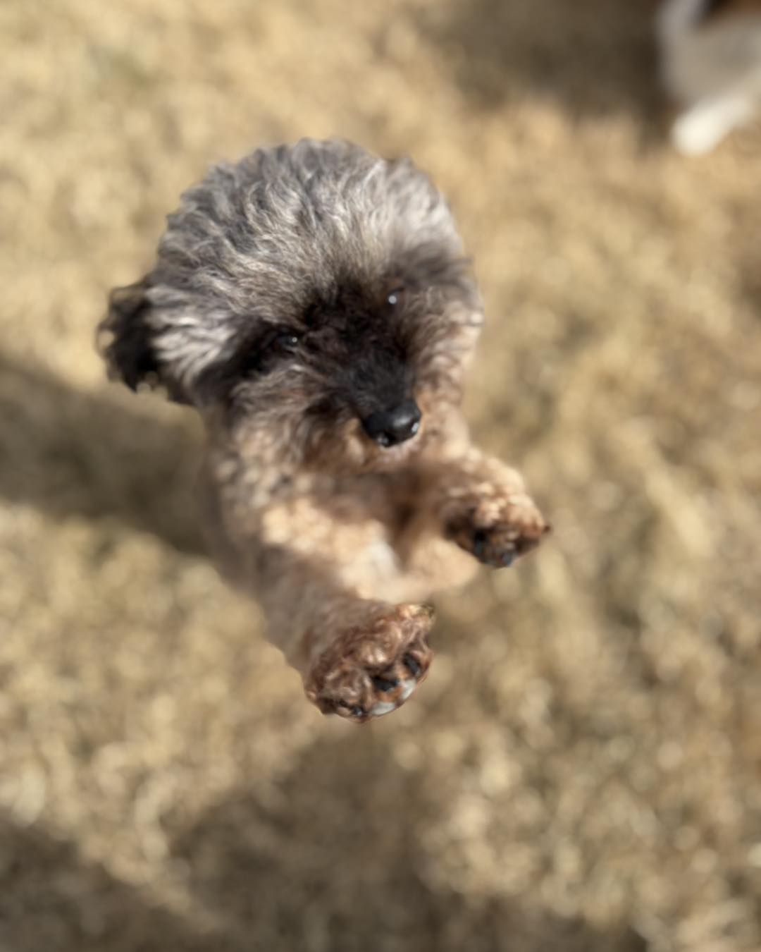 Willow Creek Ranch of Tomball Tomball