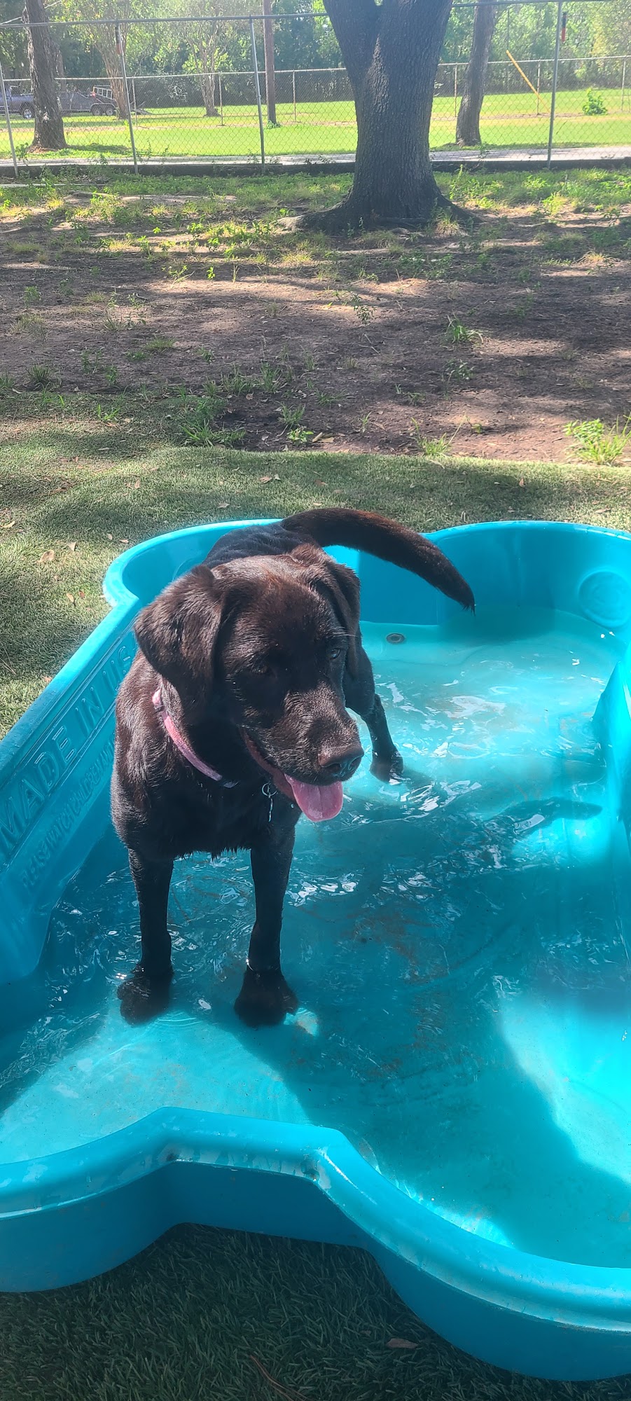 Foxmoor Pet Care Tomball