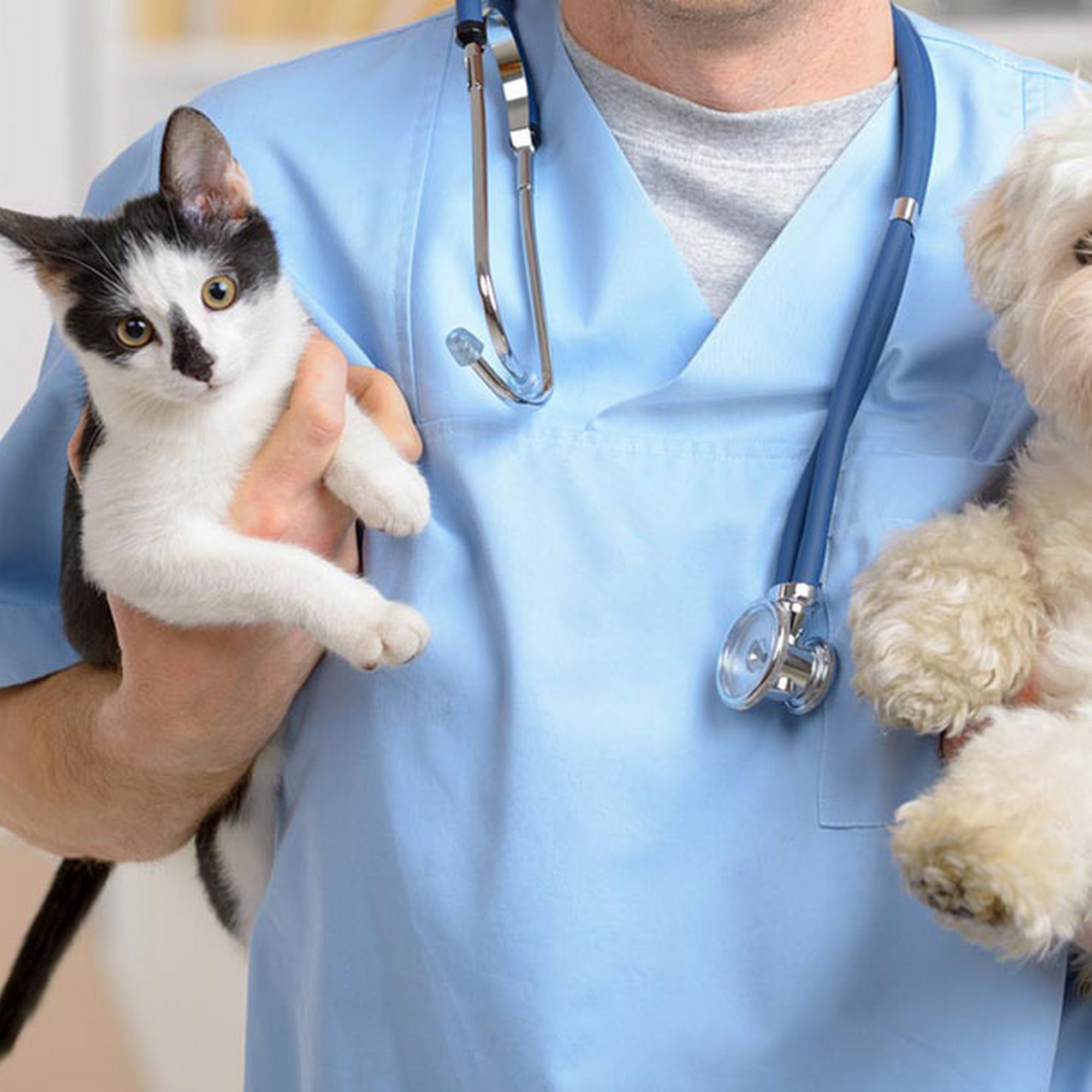 Pet Veterinary Clinic Tyler