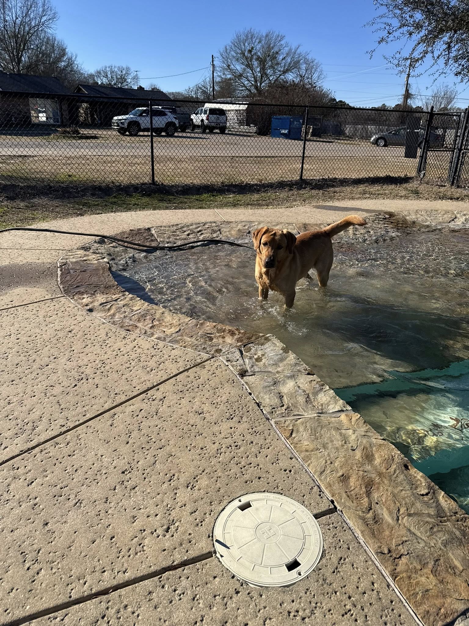 Bed Bath N Bonz Tyler