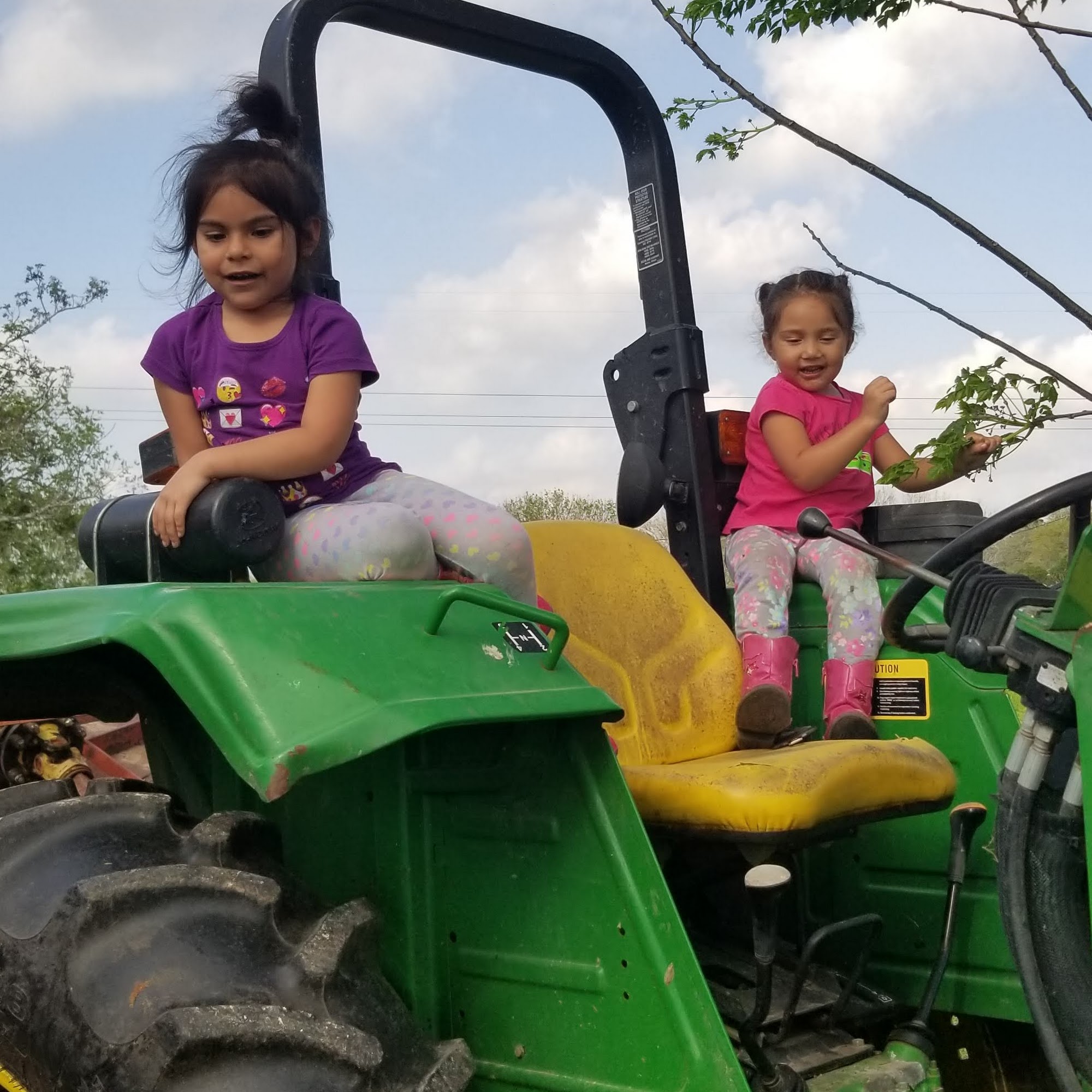 Town & Country Veterinary Clinic Victoria