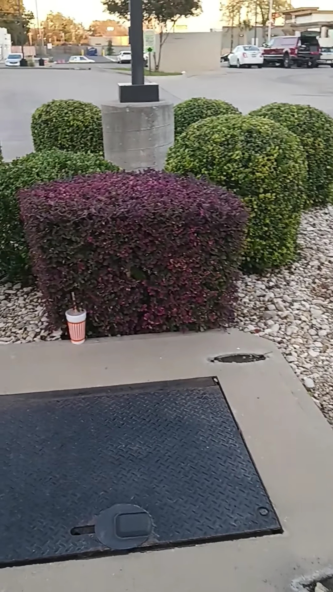 Papa Johns Pizza Menu