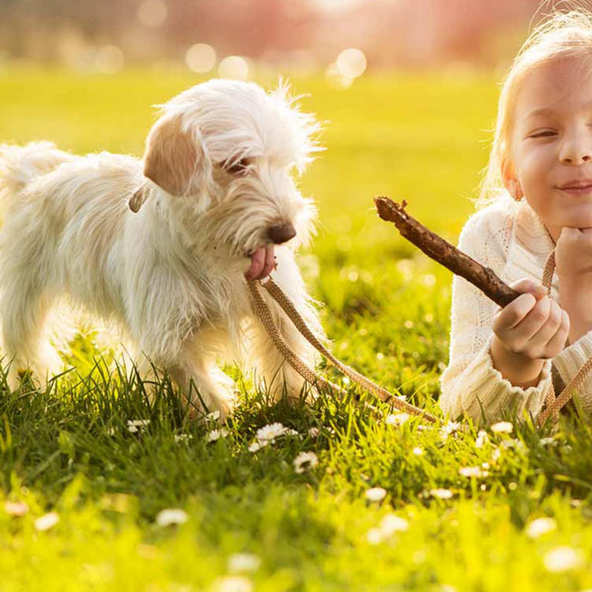 Texas Animal Medical Center Waco