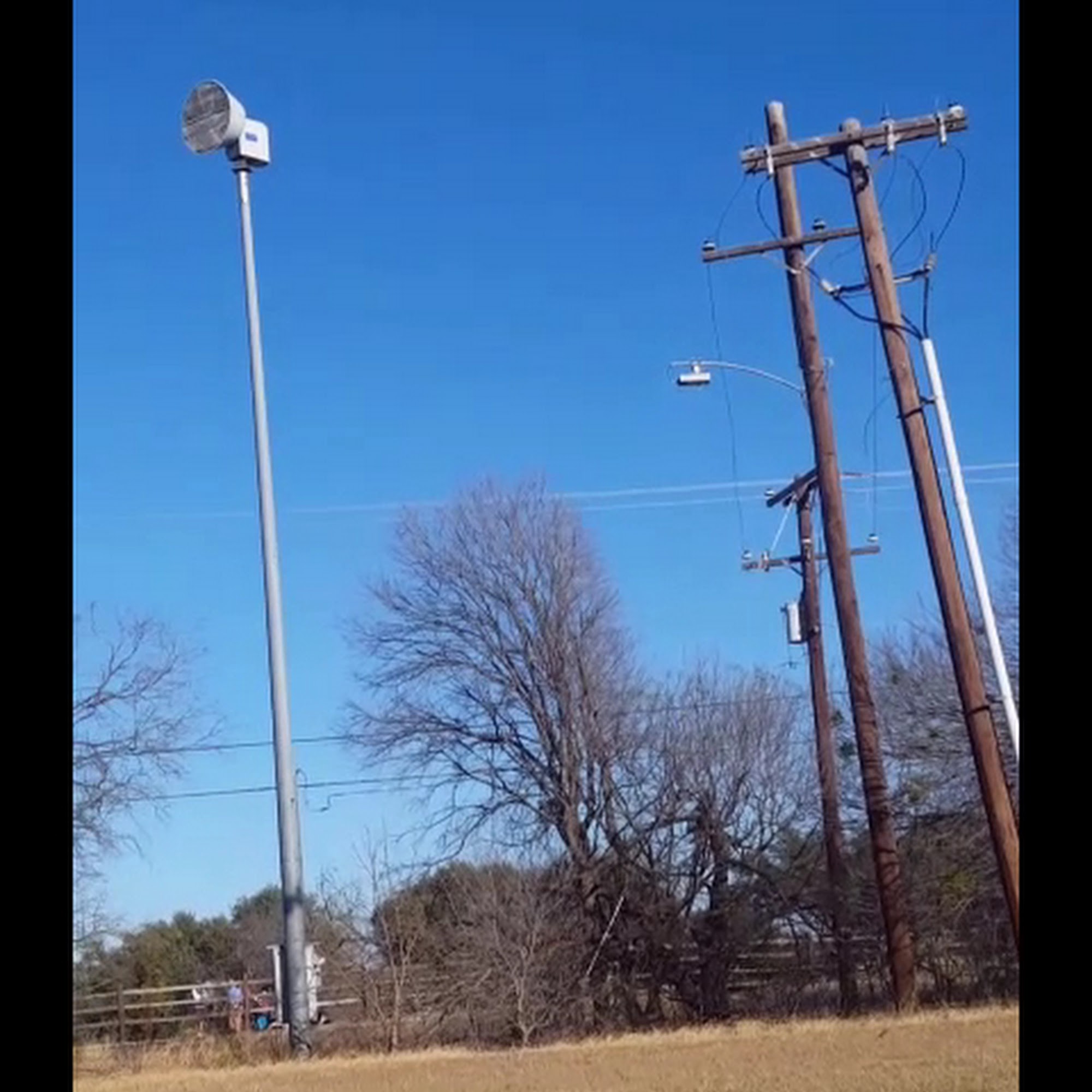 Northside Animal Hospital Waco