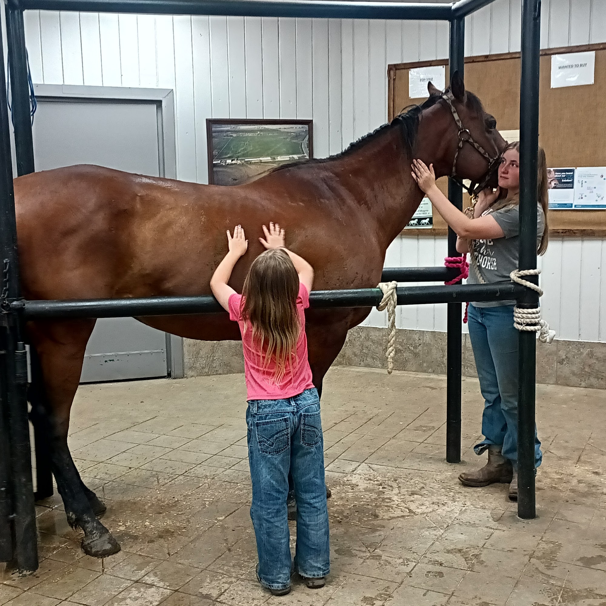 Brazos Valley Equine Hospital - Waco Waco