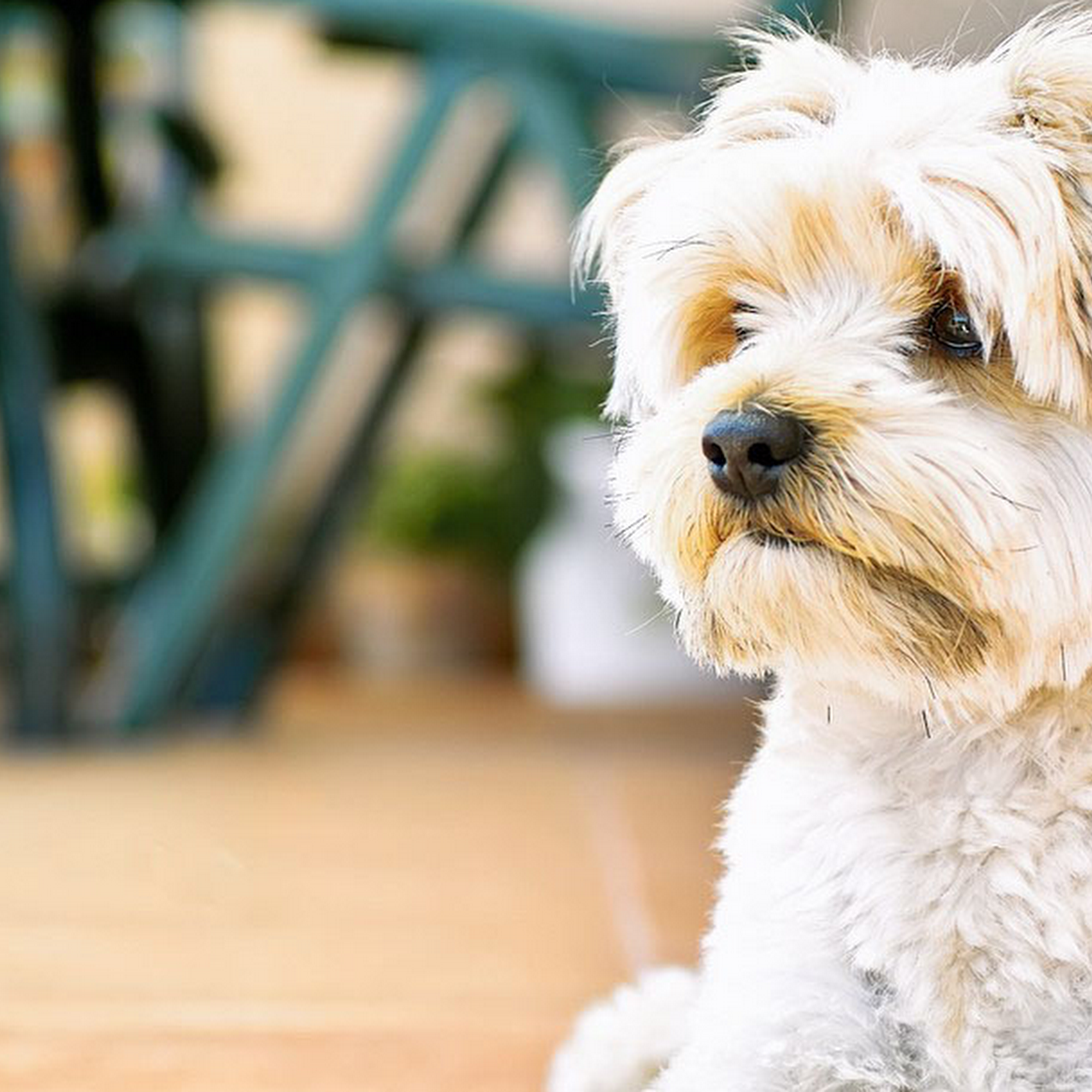 Barkley Animal Clinic Waco