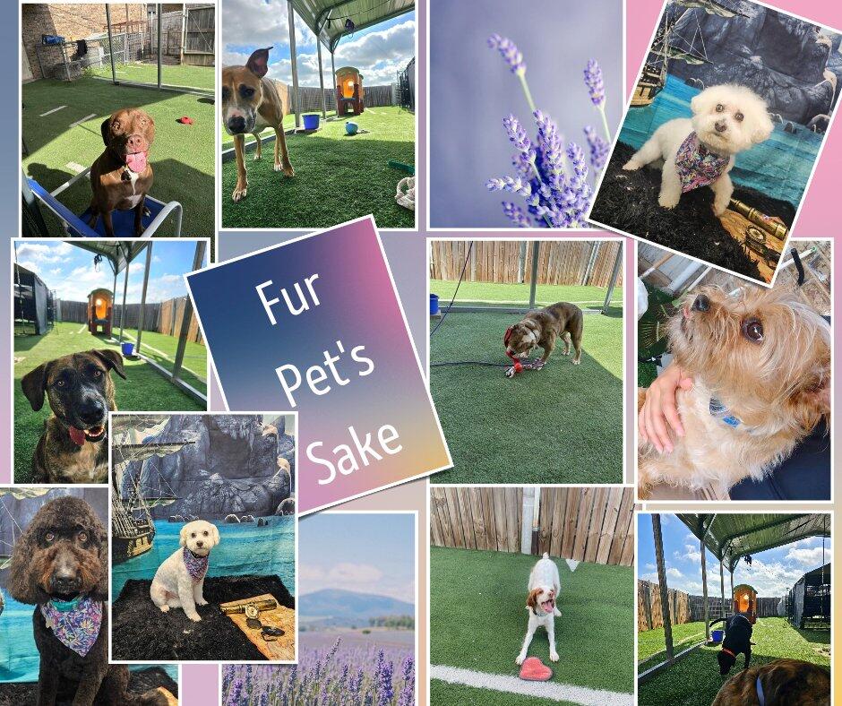 Fur Pet's Sake, LLC Waco