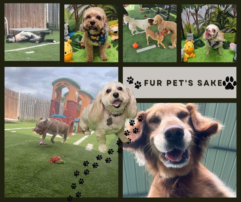 Fur Pet's Sake, LLC Waco