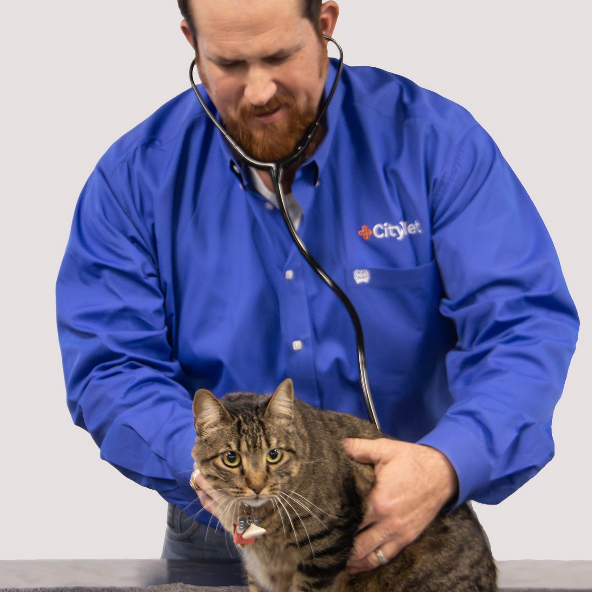 CityVet | Waxahachie Waxahachie