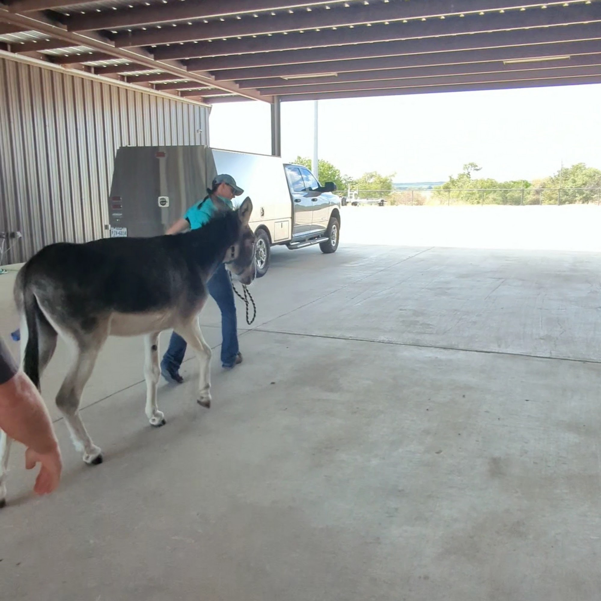 North Texas Veterinary Hospital Weatherford